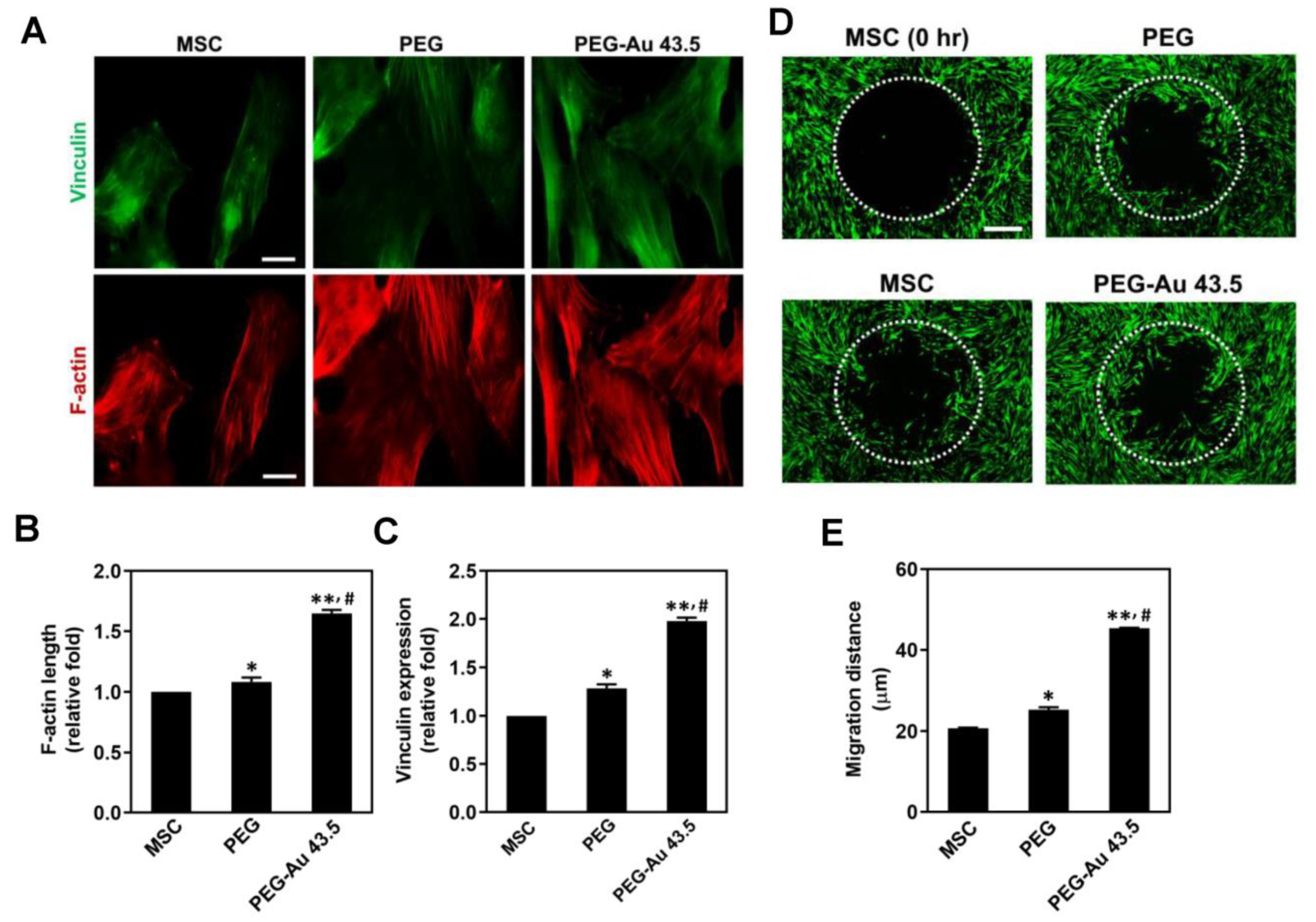 Polymers 13 04265 g004