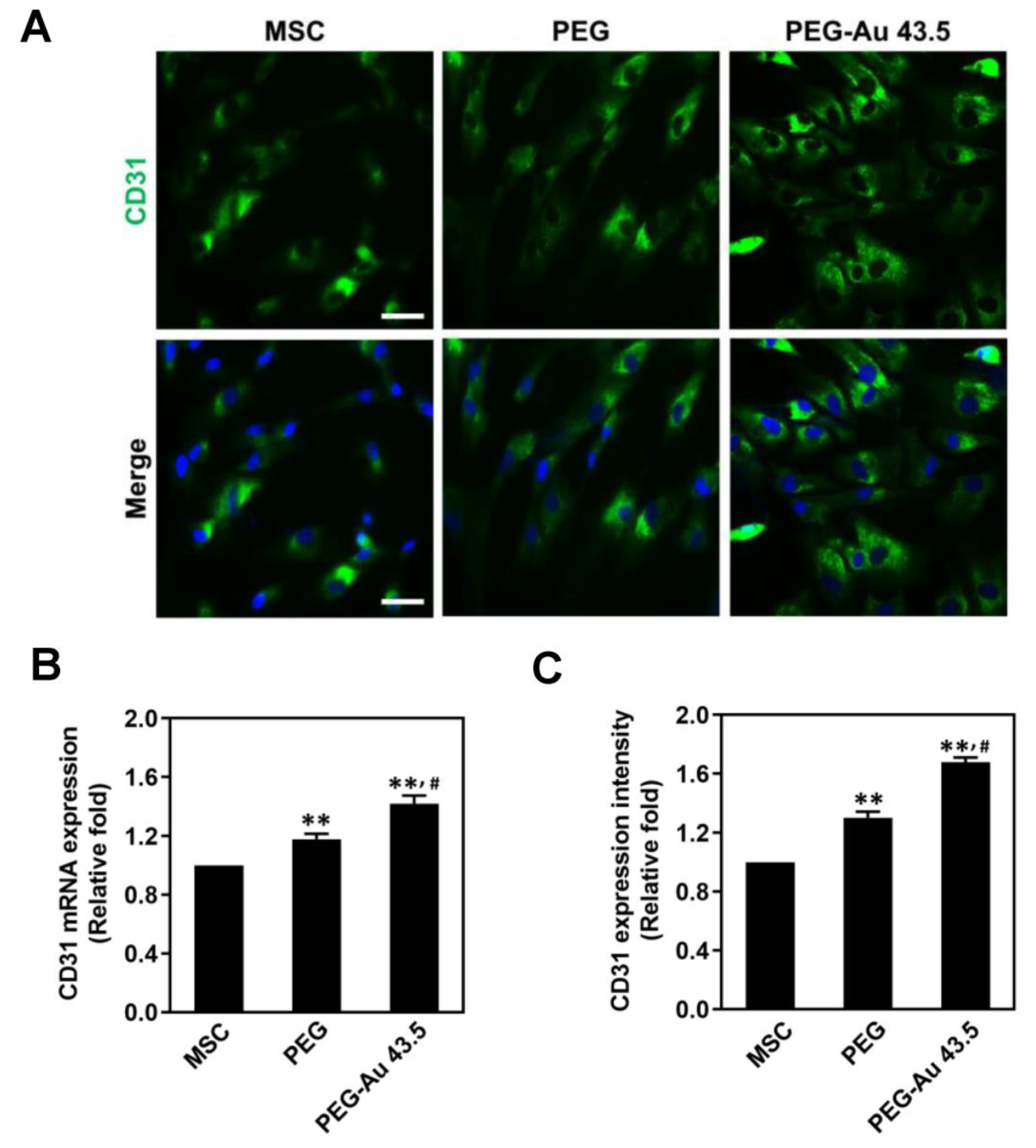 Polymers 13 04265 g005