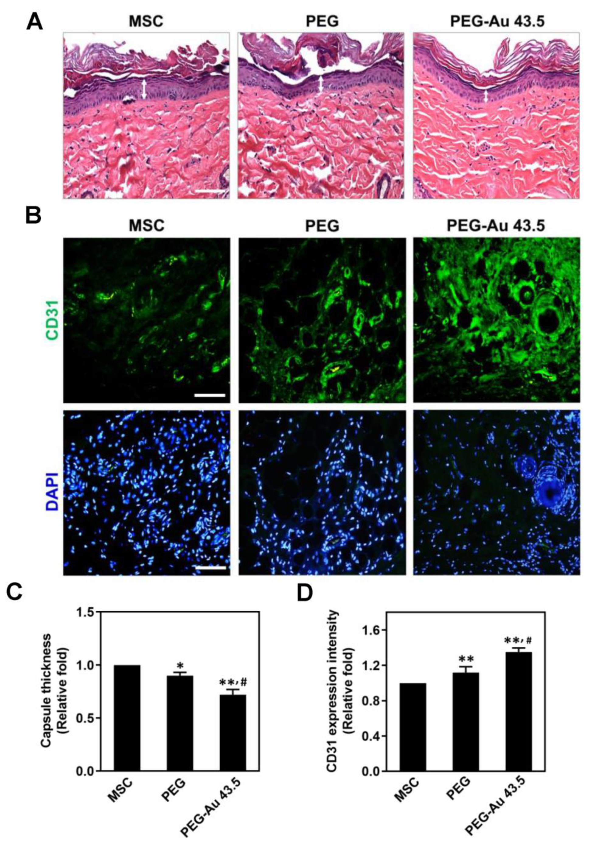 Polymers 13 04265 g006