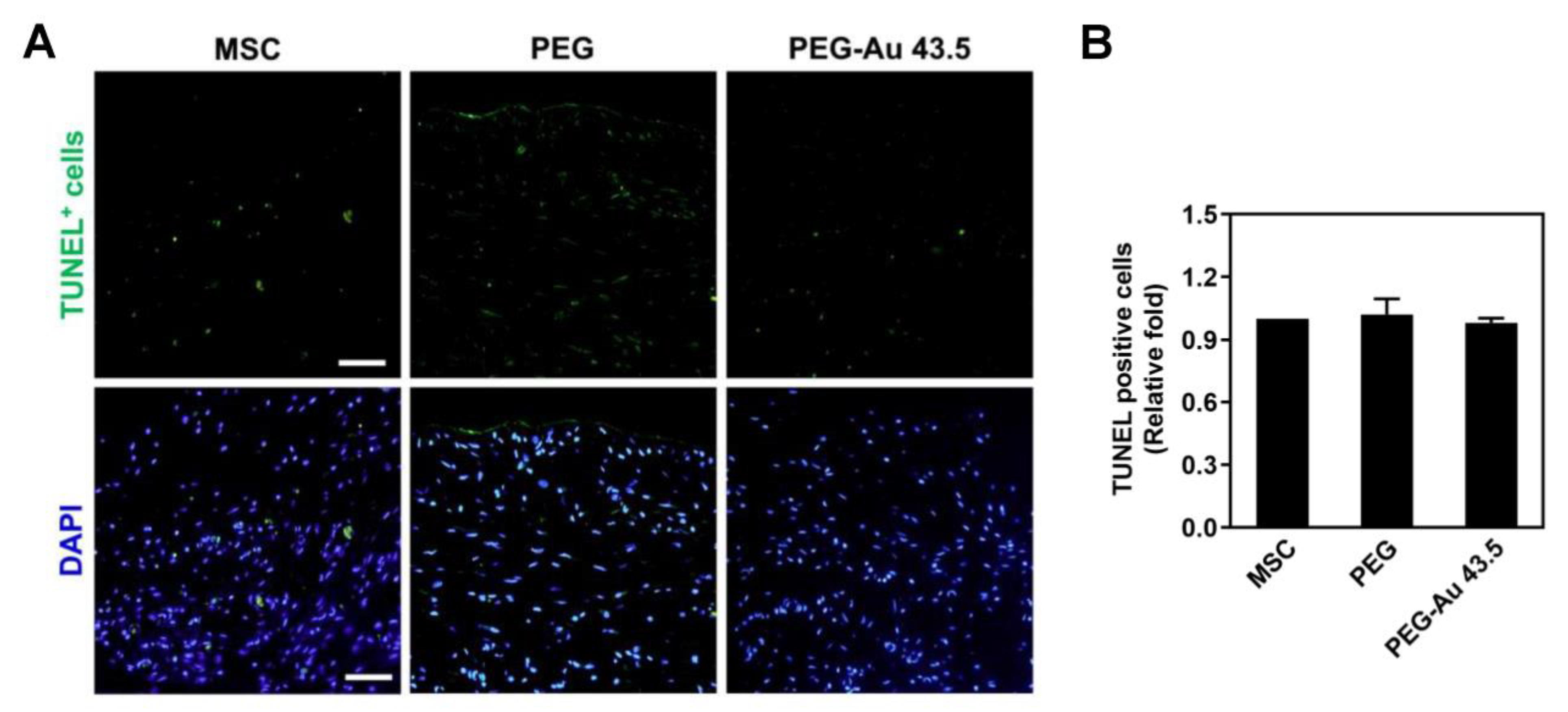 Polymers 13 04265 g007