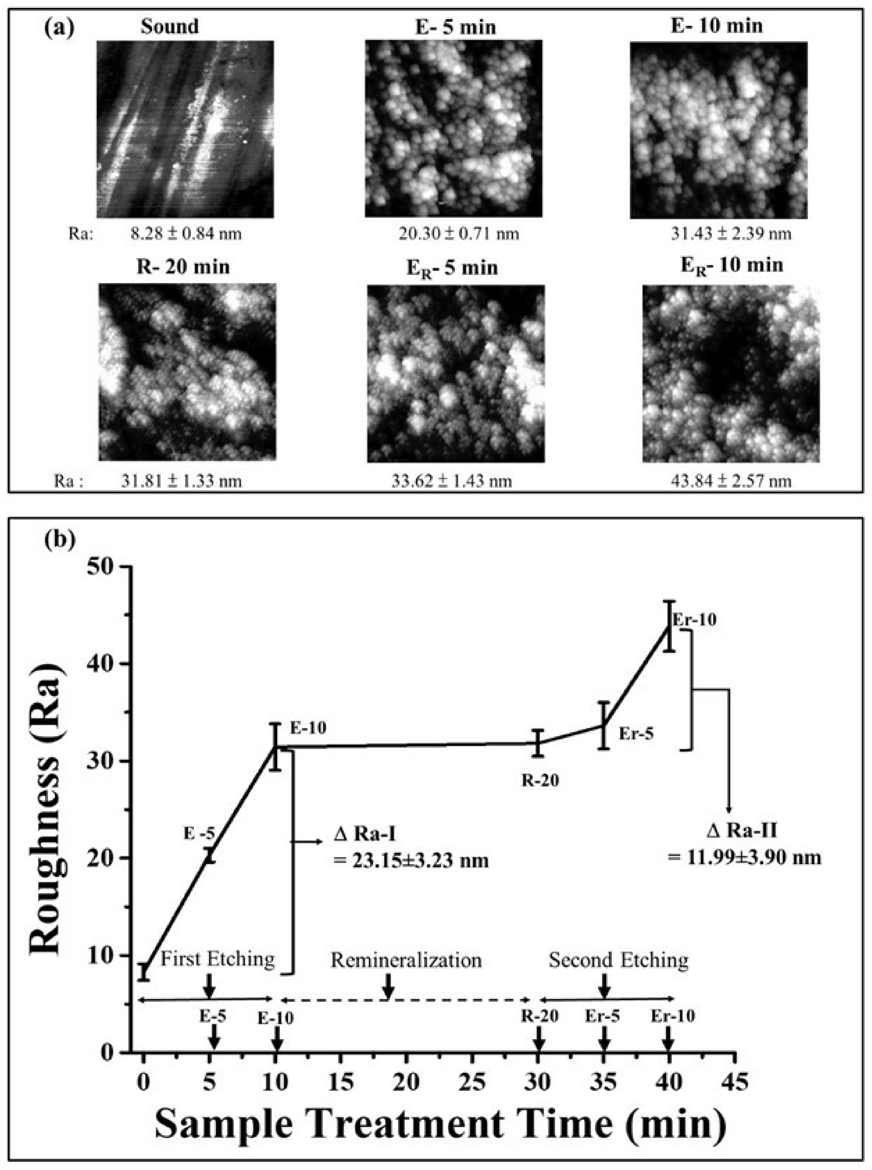Polymers 13 04268 g003 Polymers 13 04268 g003