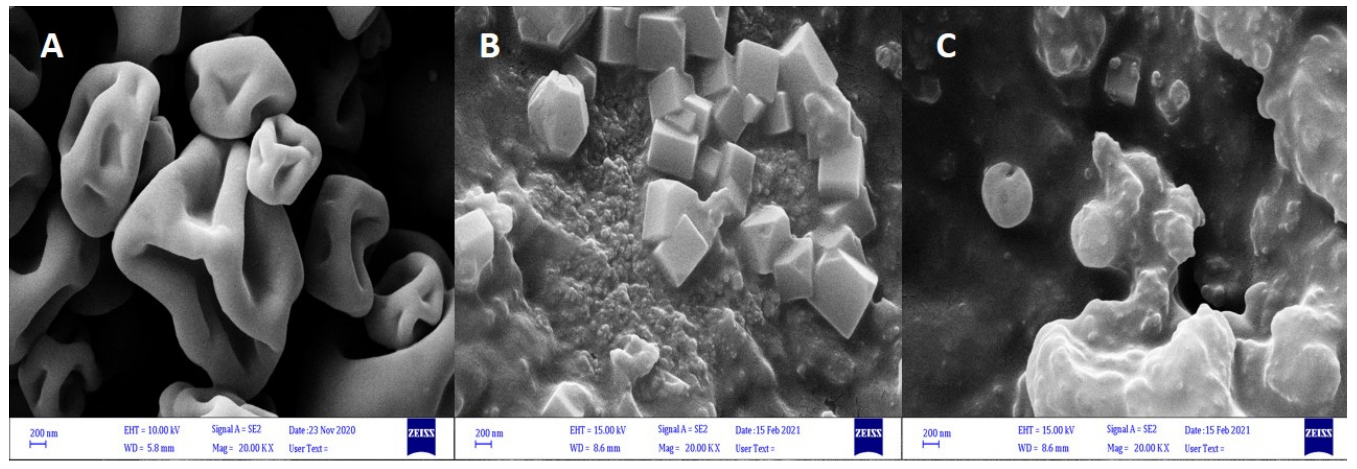 Polymers 13 04269 g001 Polymers 13 04269 g001