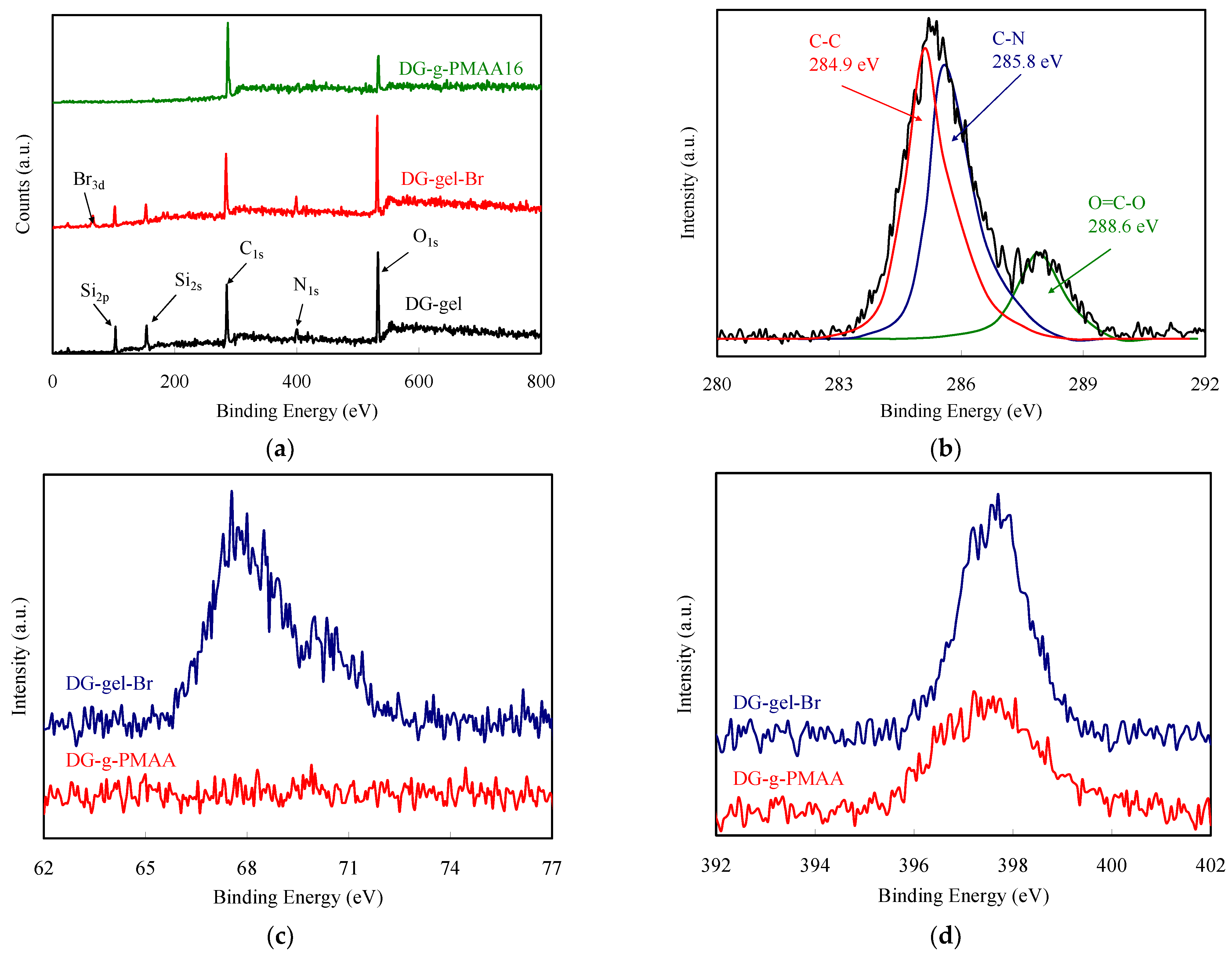 Polymers 13 04270 g001