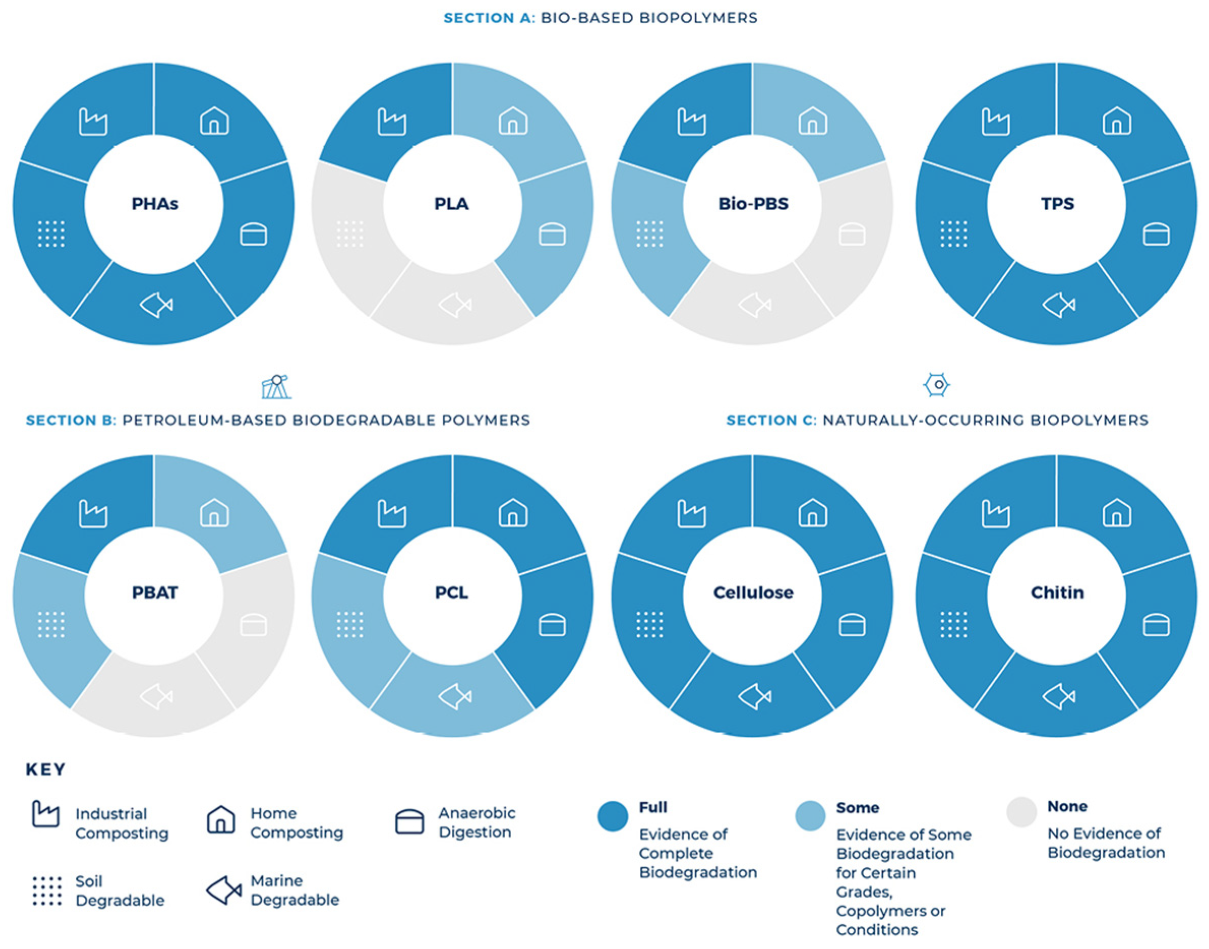 Polymers 13 04271 g005