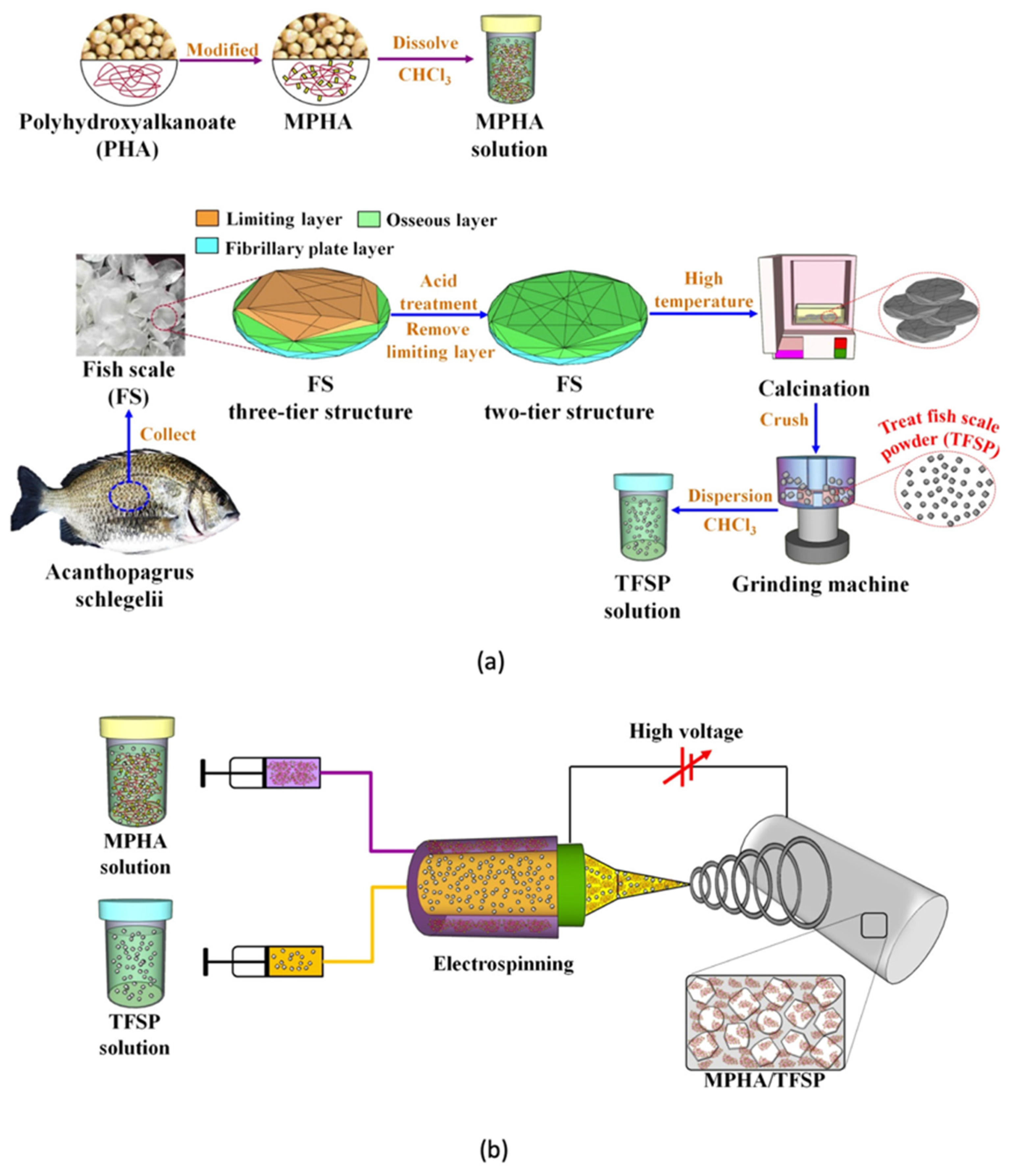Polymers 13 04271 g011