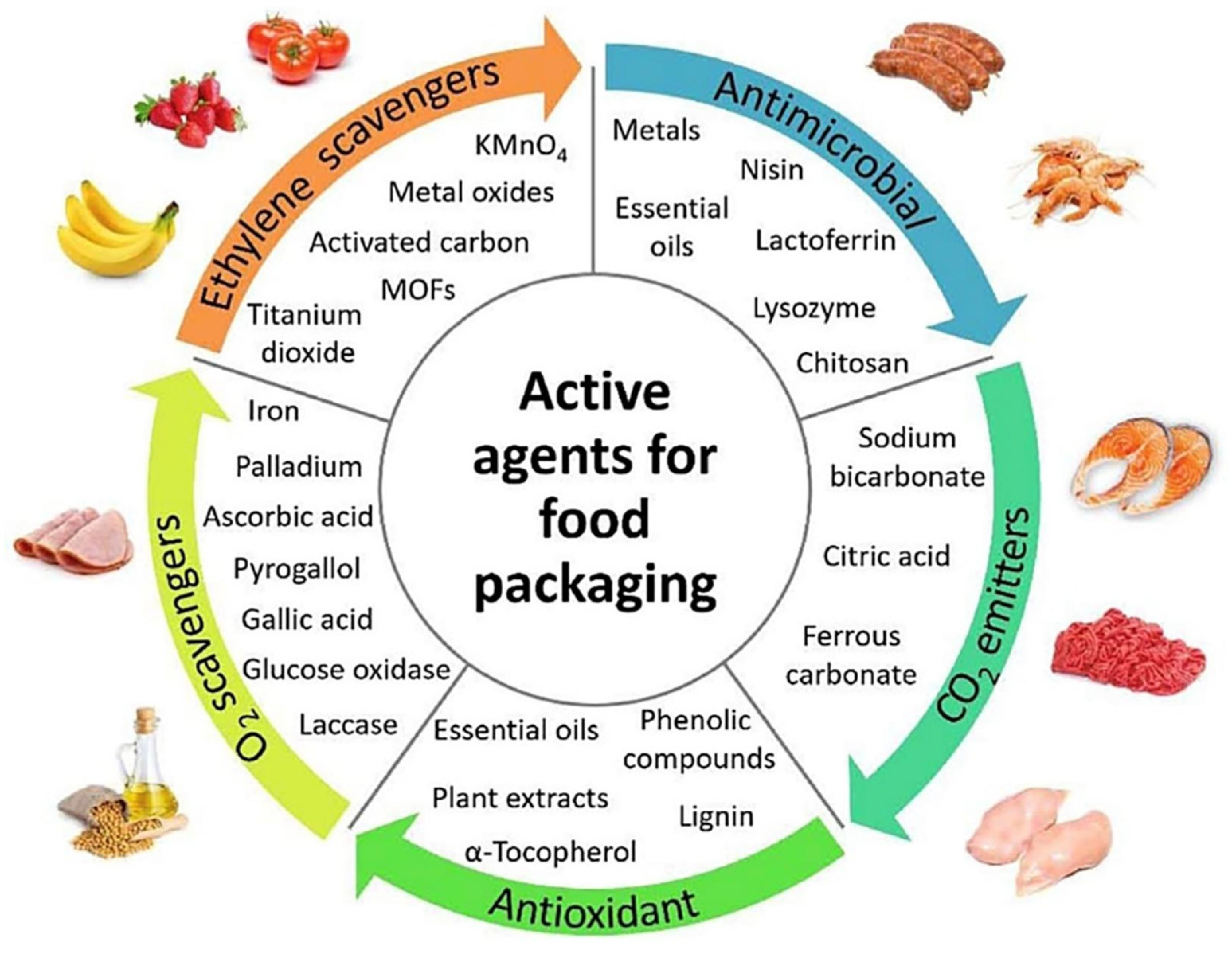 Polymers 13 04271 g017