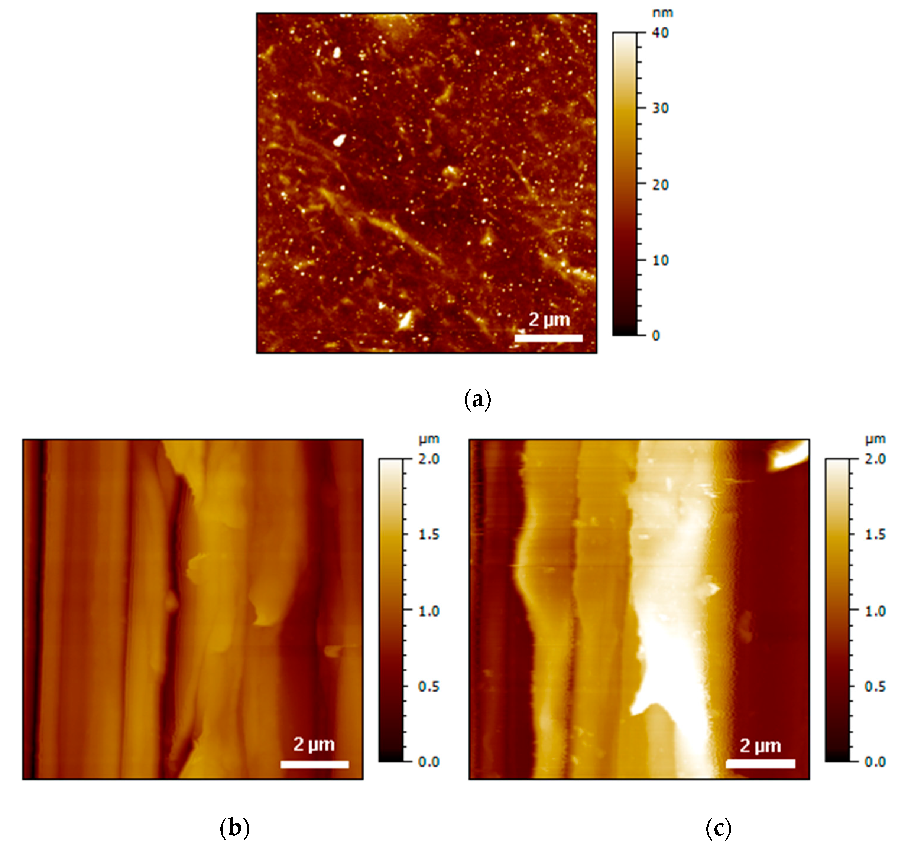 Polymers 13 04273 g004