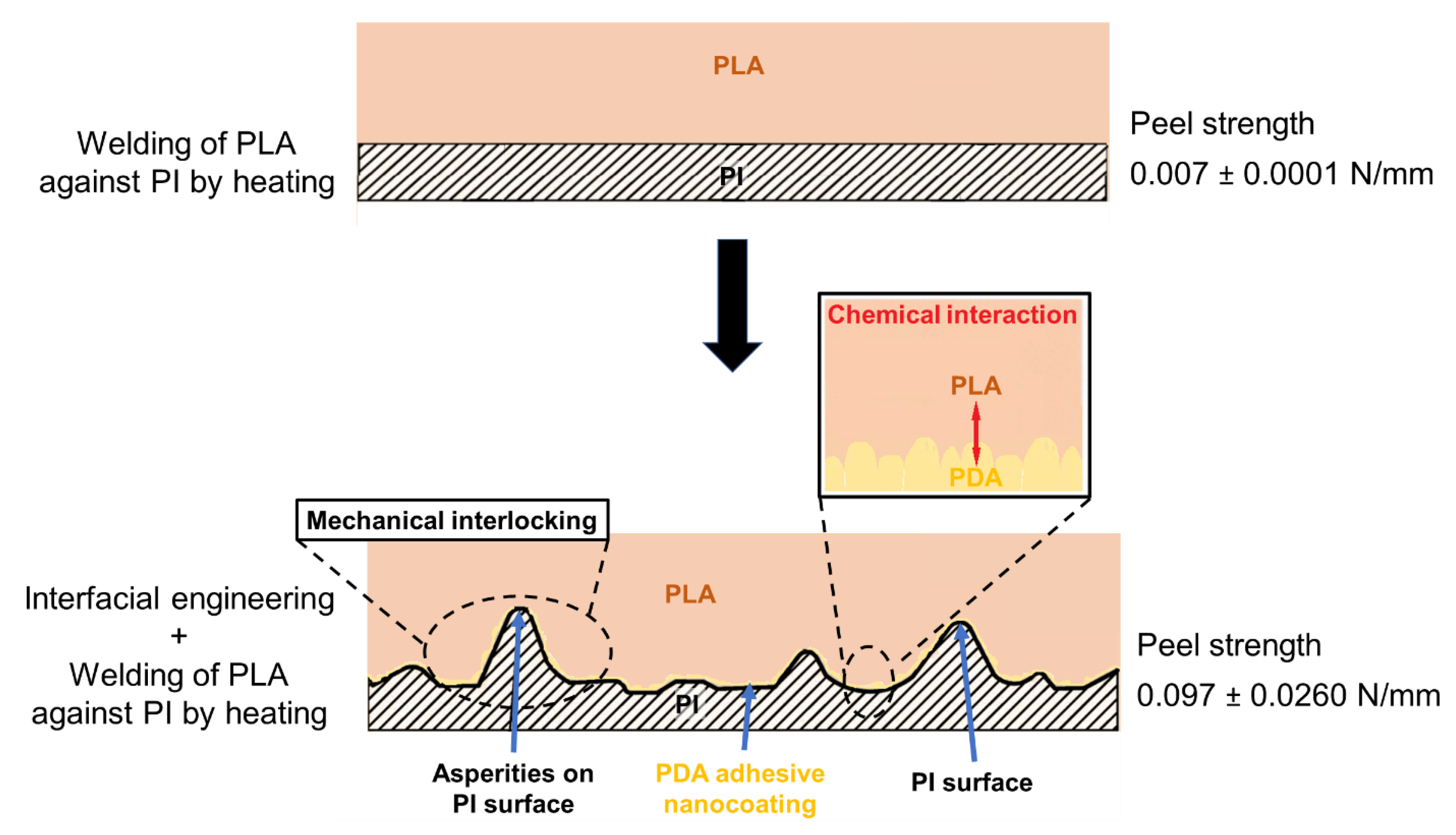 Polymers 13 04273 g007