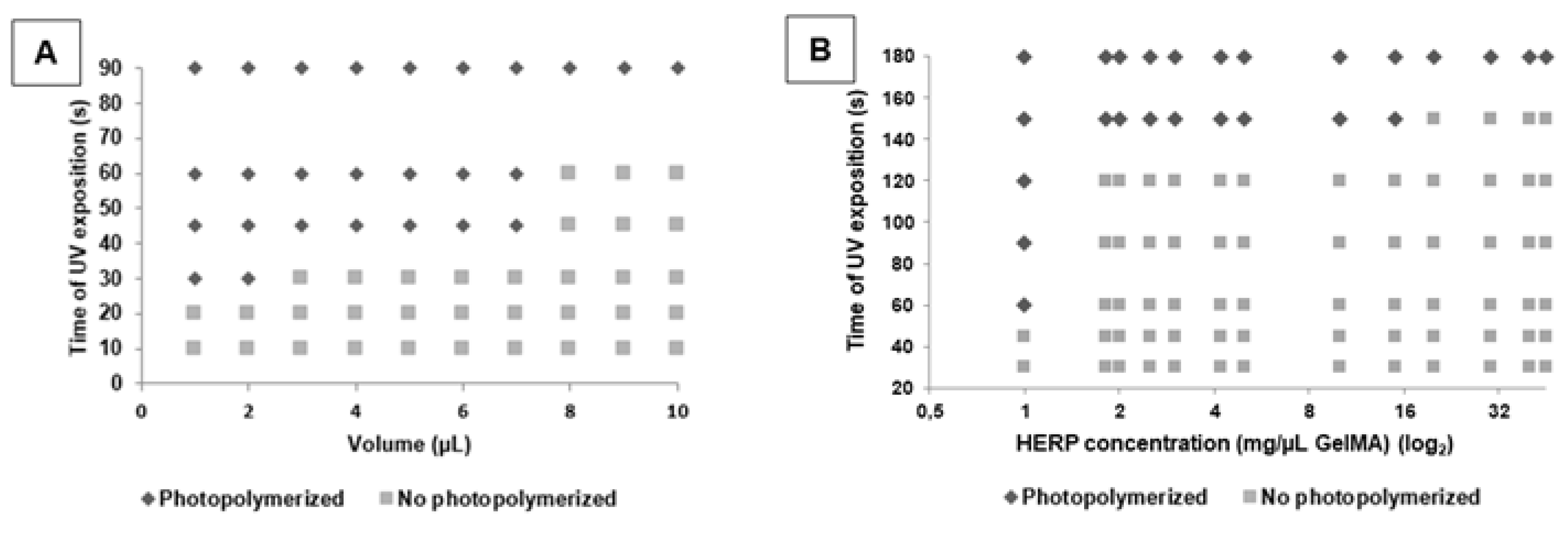 Polymers 13 04274 g003