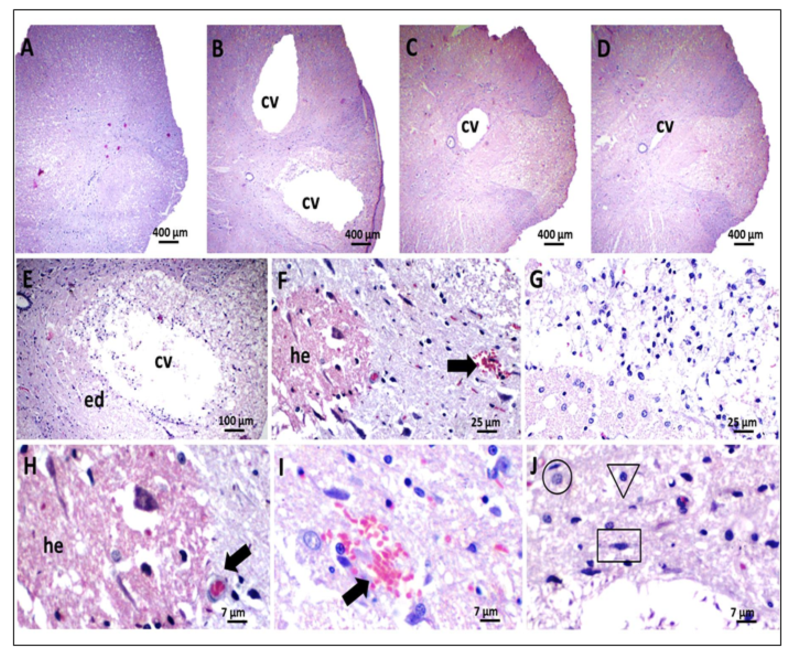 Polymers 13 04274 g006