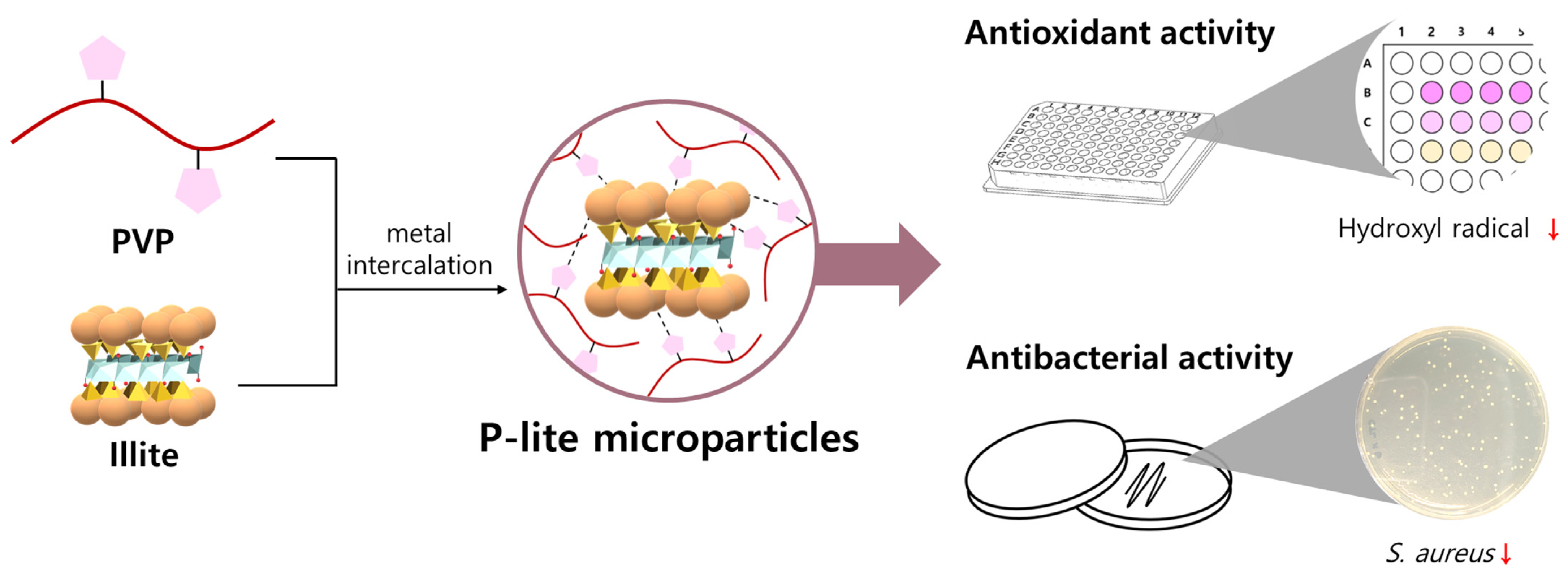 Polymers 13 04275 g001 Polymers 13 04275 g001