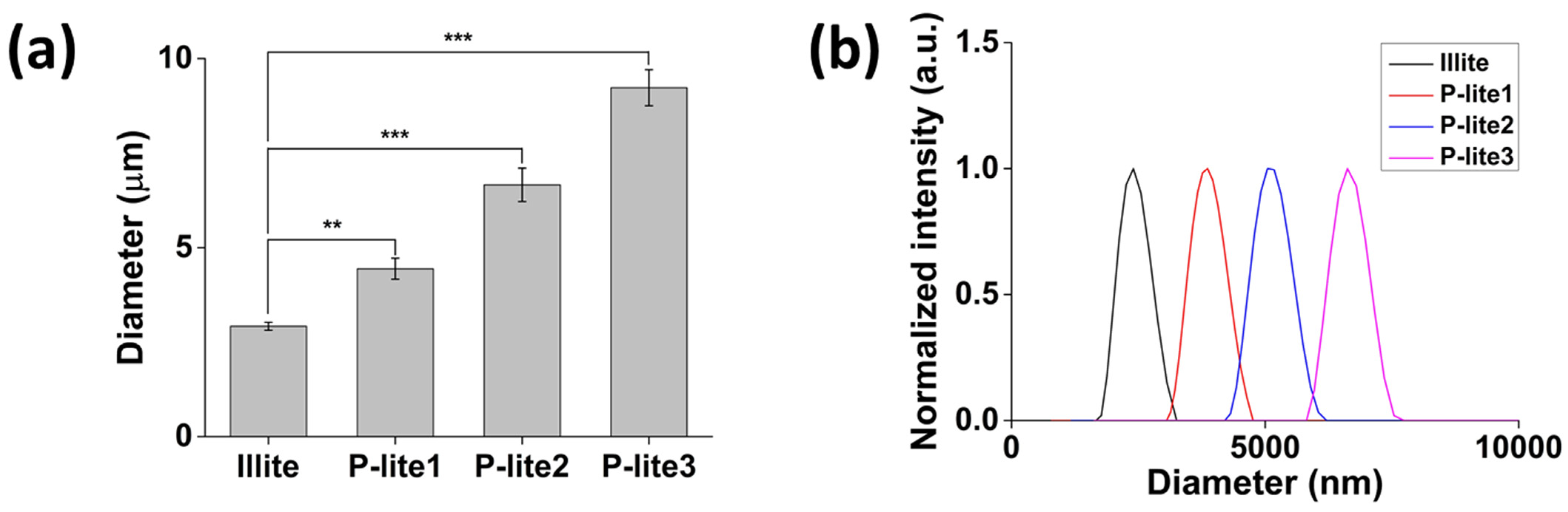 Polymers 13 04275 g002 Polymers 13 04275 g002