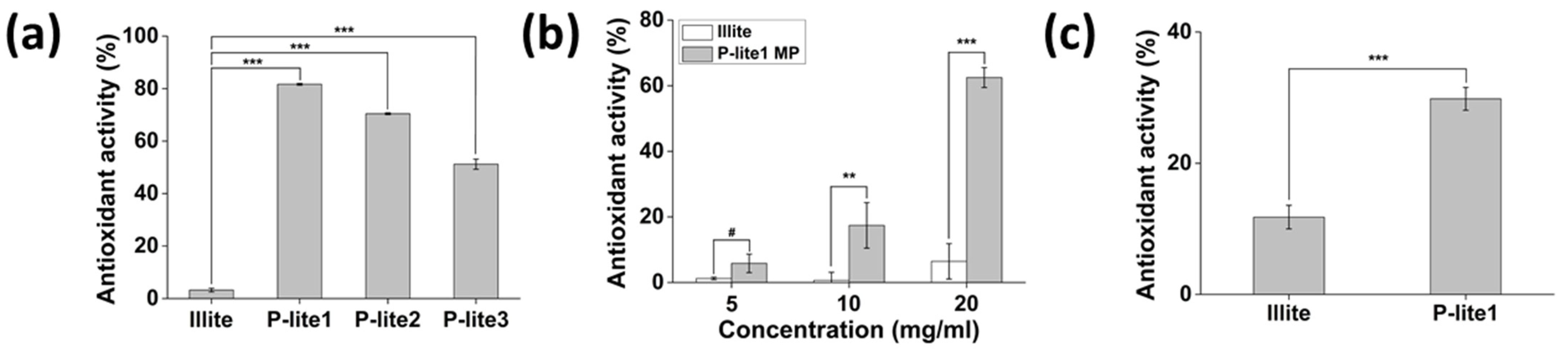 Polymers 13 04275 g006 Polymers 13 04275 g006