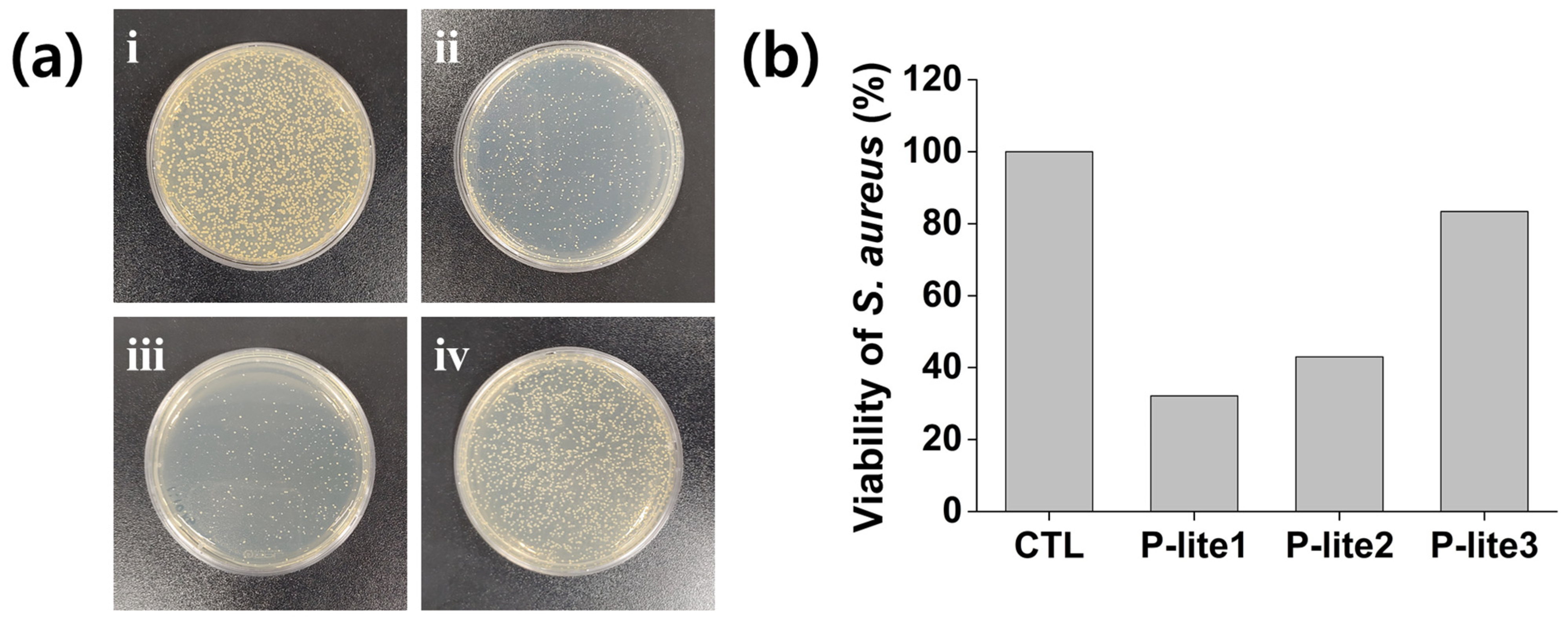 Polymers 13 04275 g007 Polymers 13 04275 g007