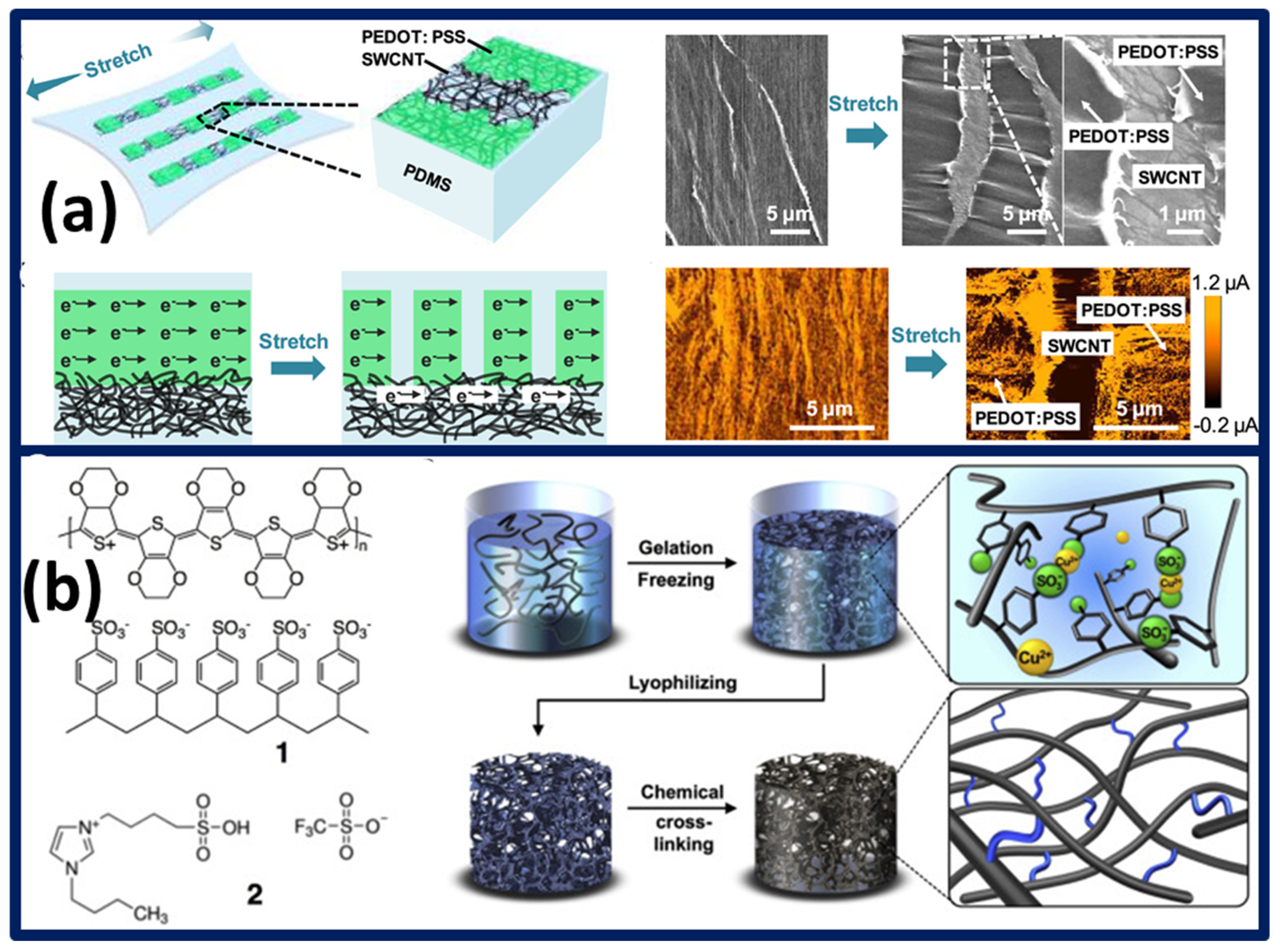 Polymers 13 04281 g006