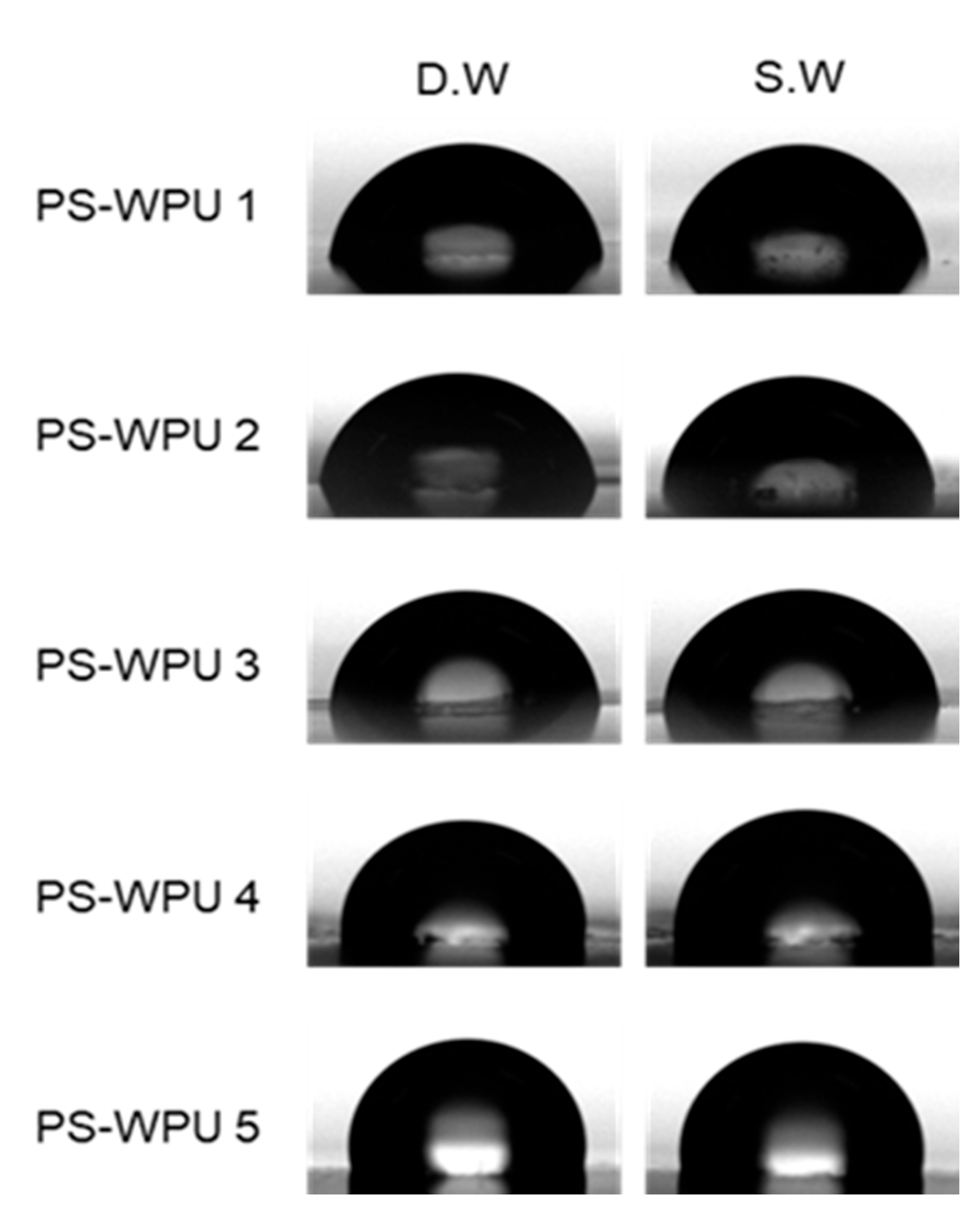 Polymers 13 04283 g008 550