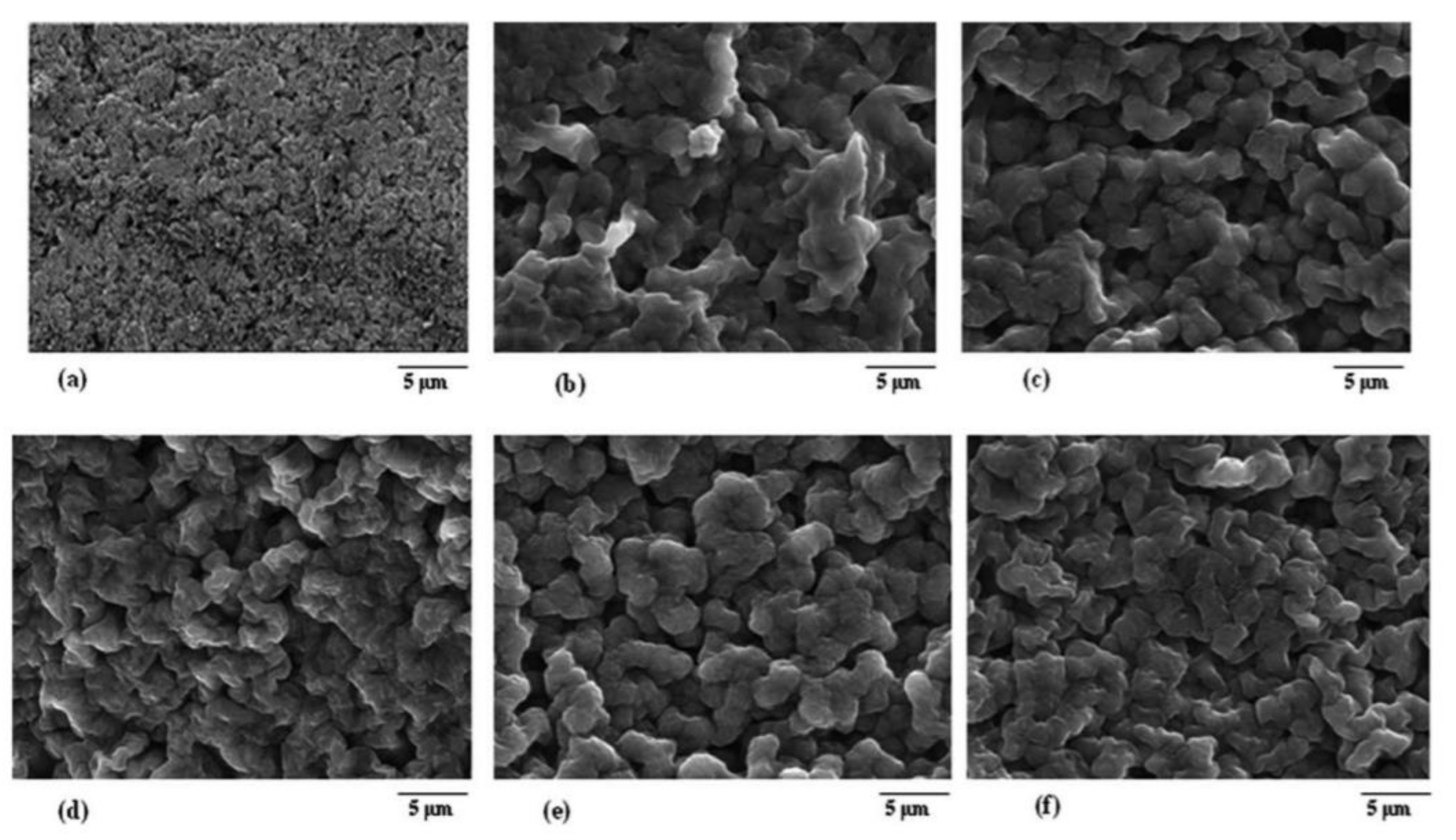 Polymers 13 04284 g004 550