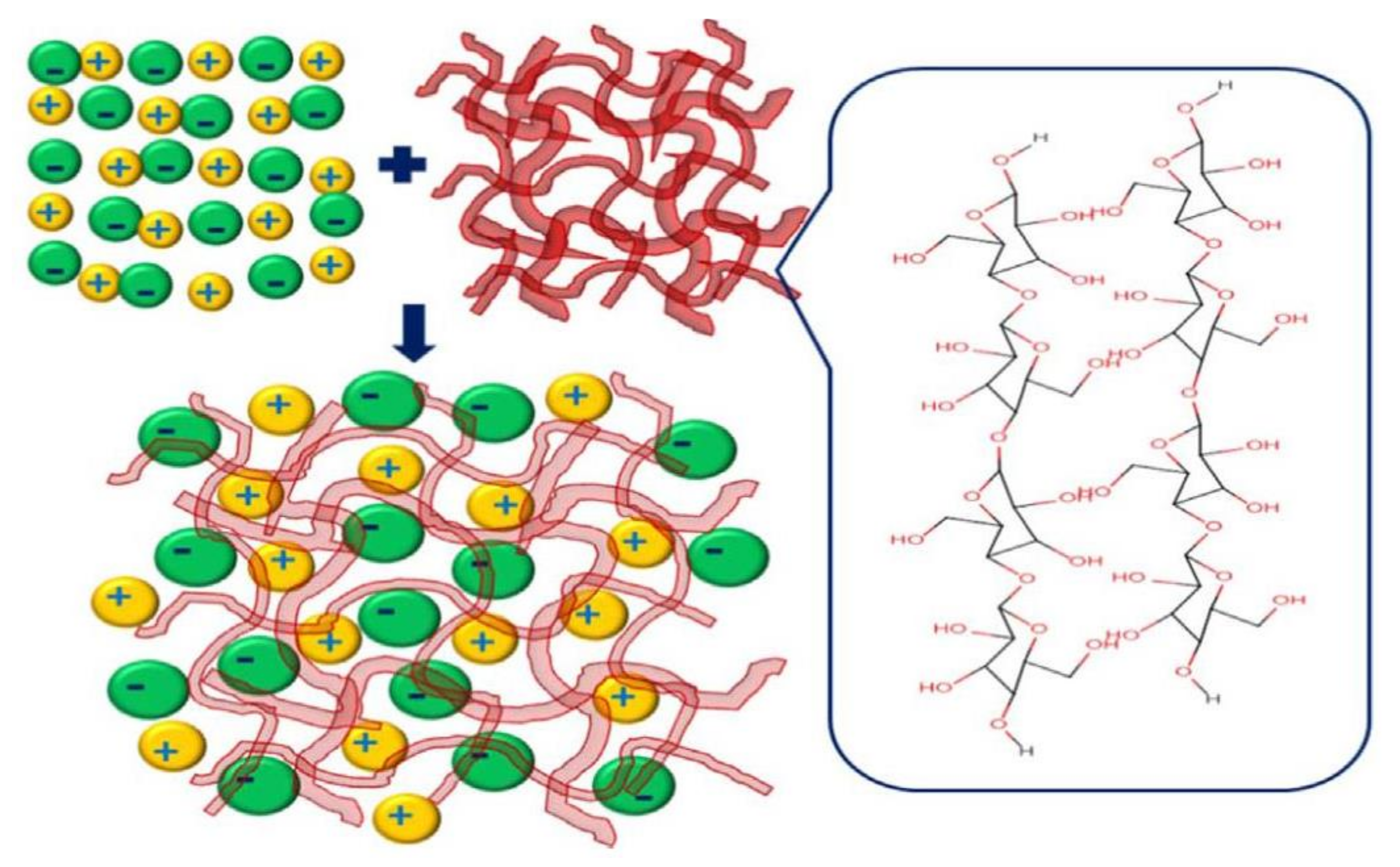 Polymers 13 04284 g015 550