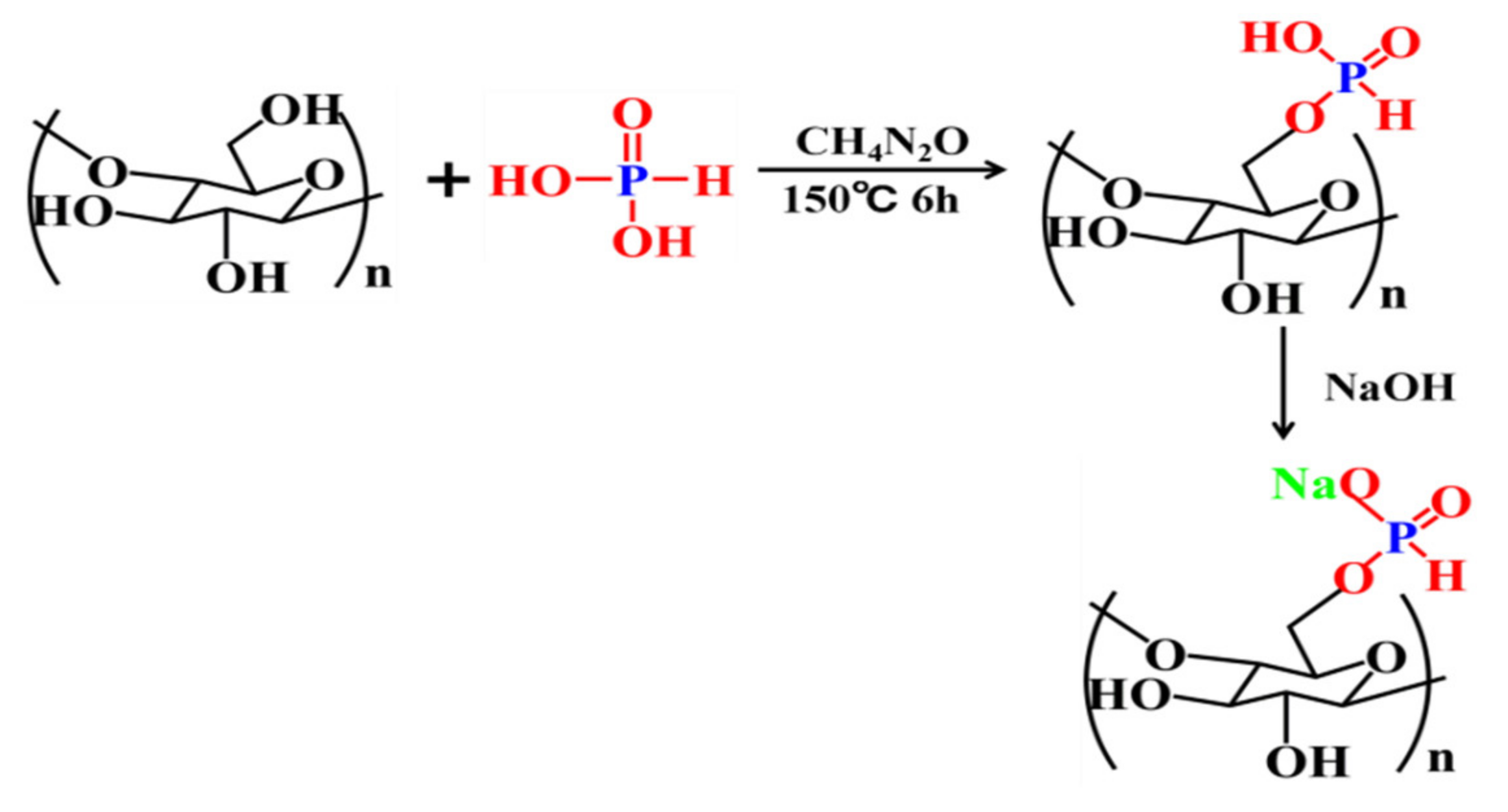 Polymers 13 04288 g001