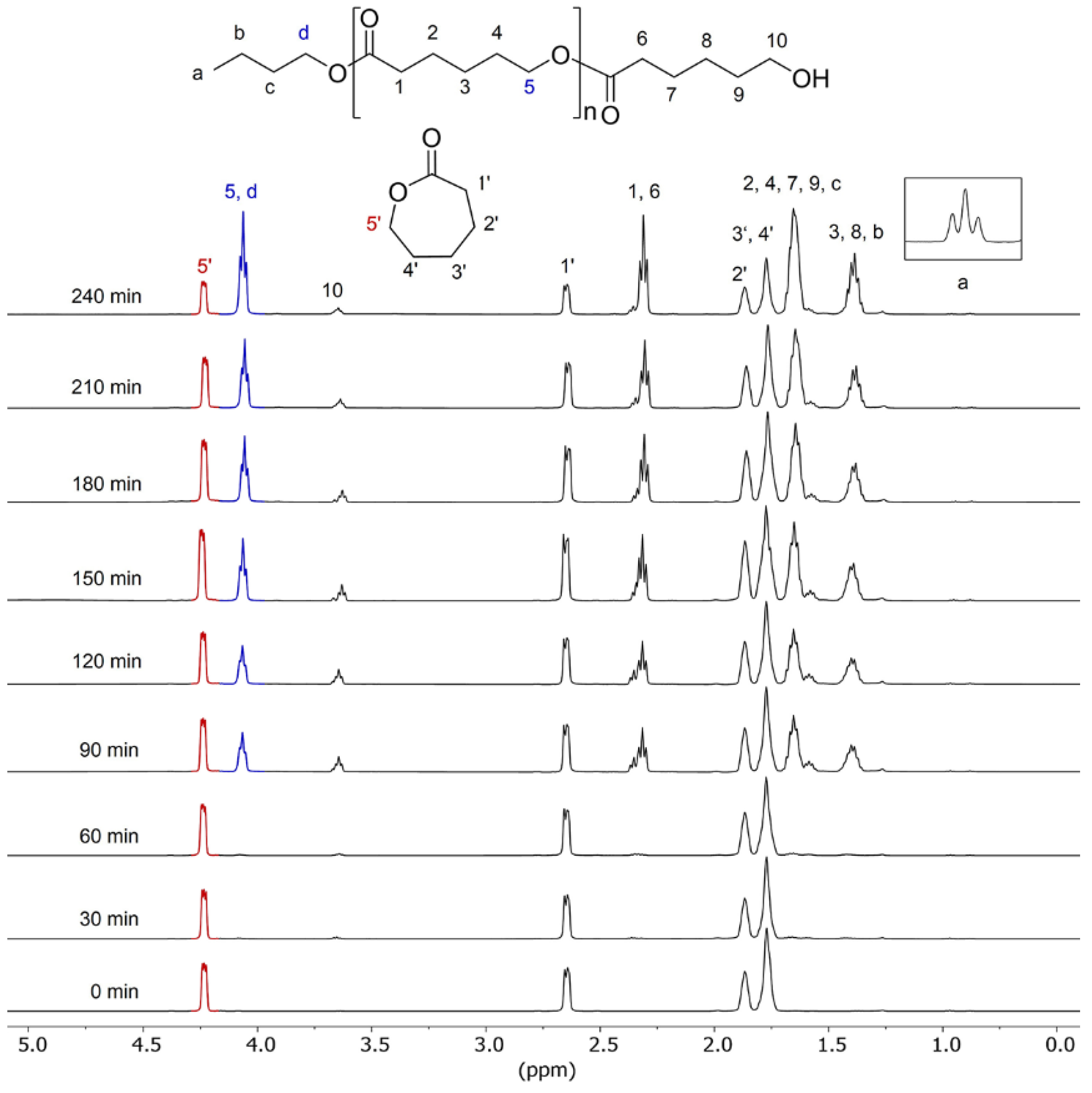 Polymers 13 04290 g003