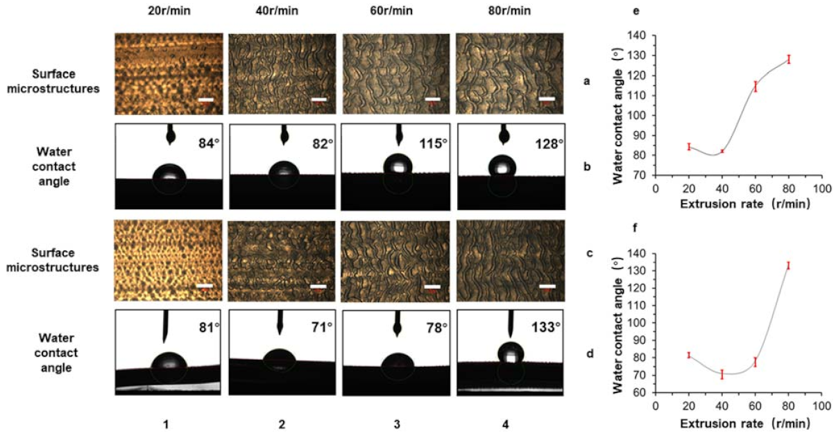 Polymers 13 04299 g006 550