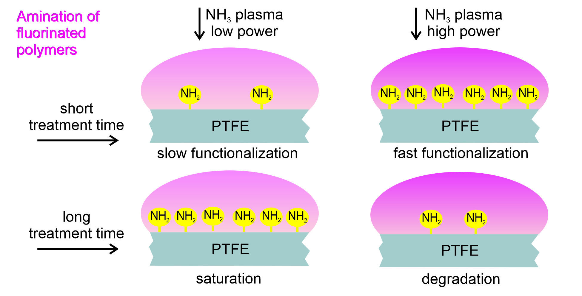 Polymers Free FullText Rapid Functionalization of