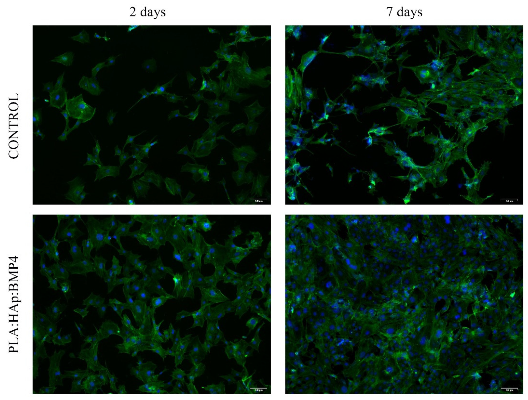 Polymers 13 04303 g009 550
