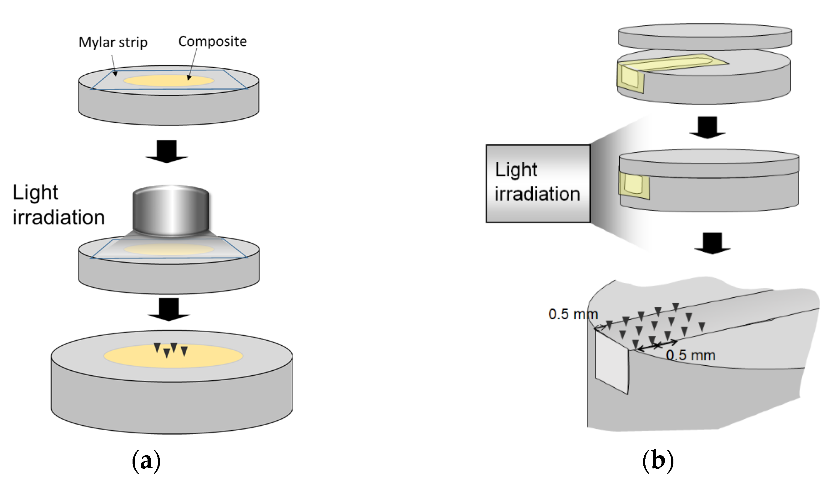Polymers 13 04304 g002 550