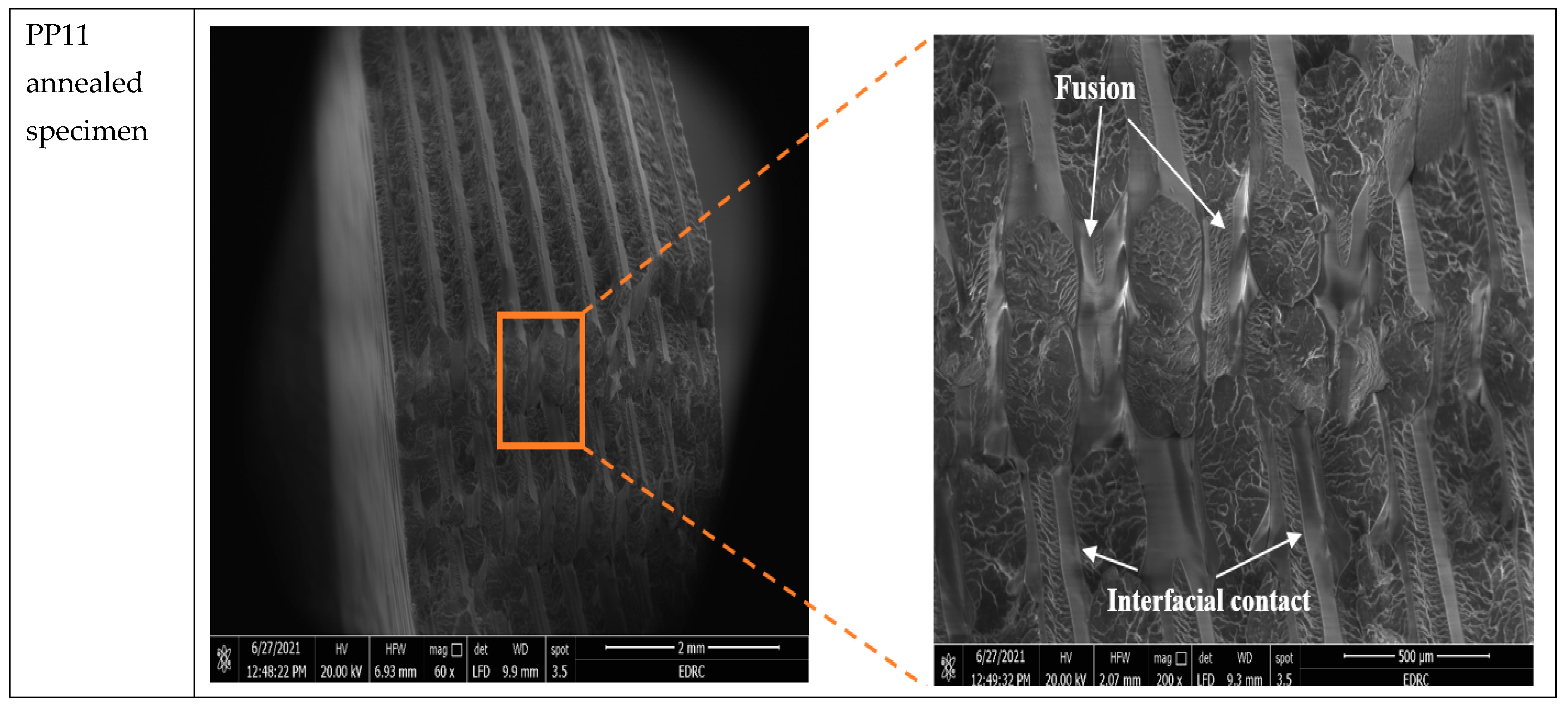 Polymers 13 04305 g008b