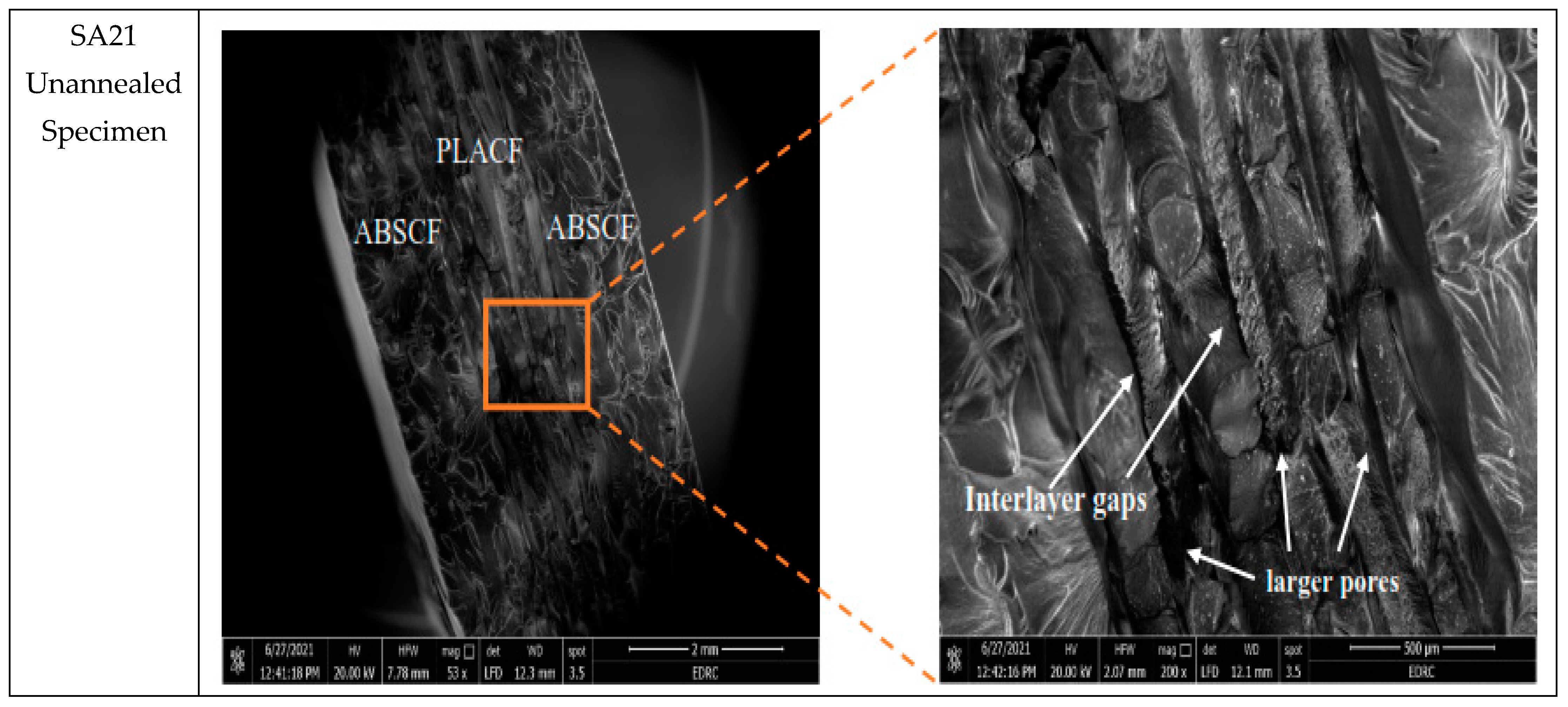 Polymers 13 04305 g009a