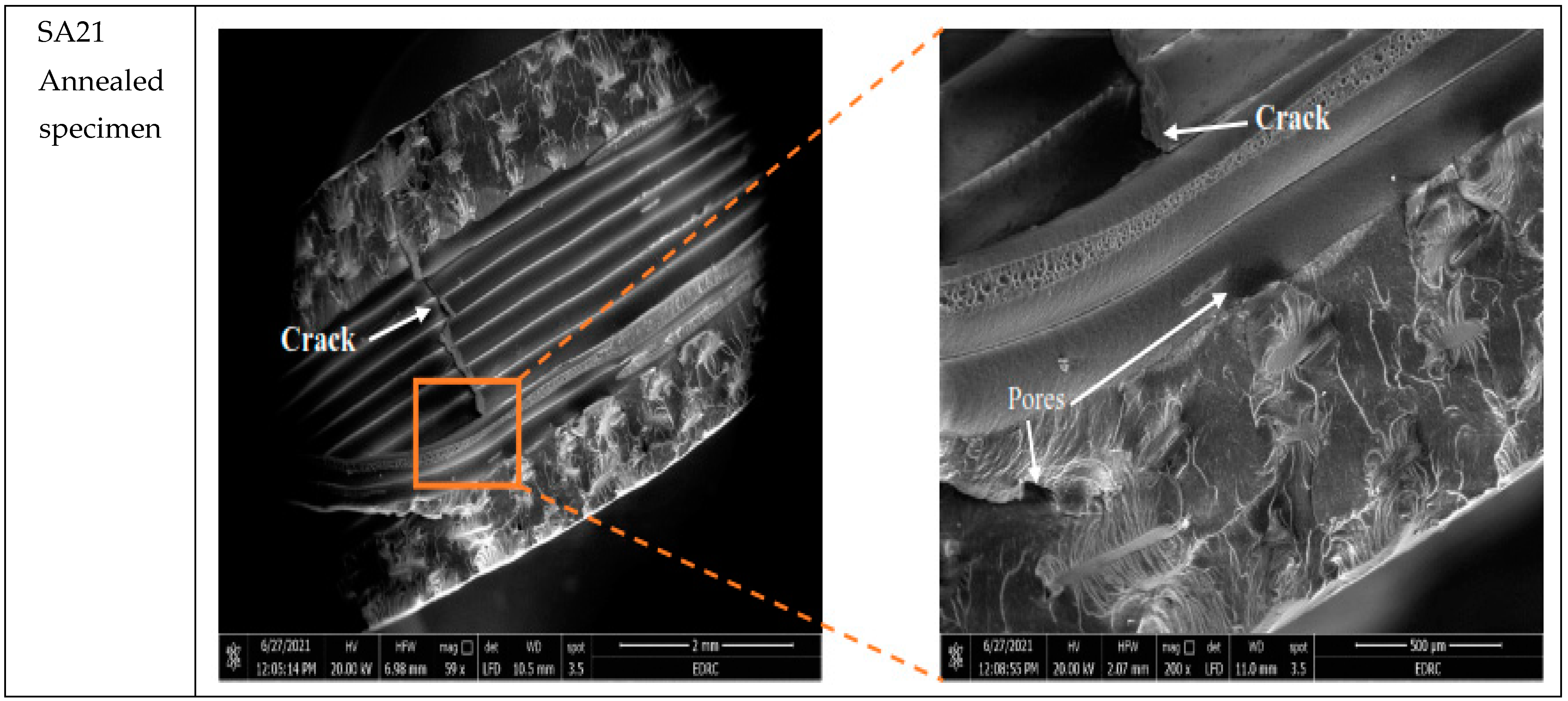 Polymers 13 04305 g009b