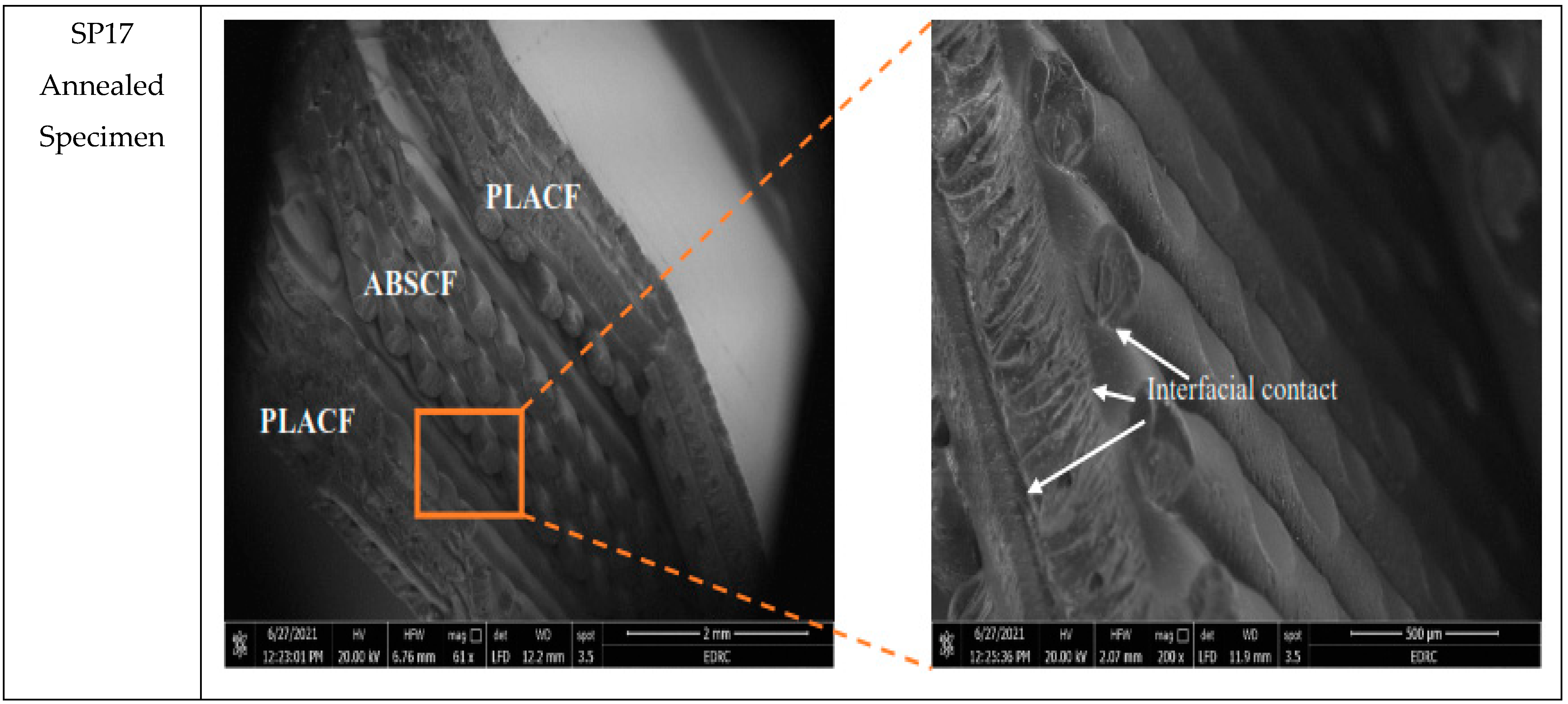 Polymers 13 04305 g011