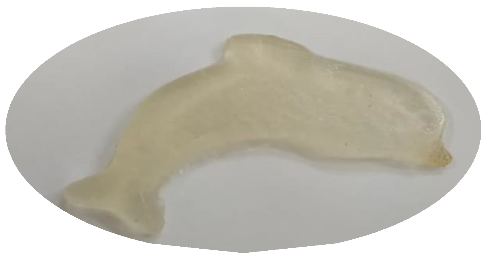 Polymers 13 04308 g001