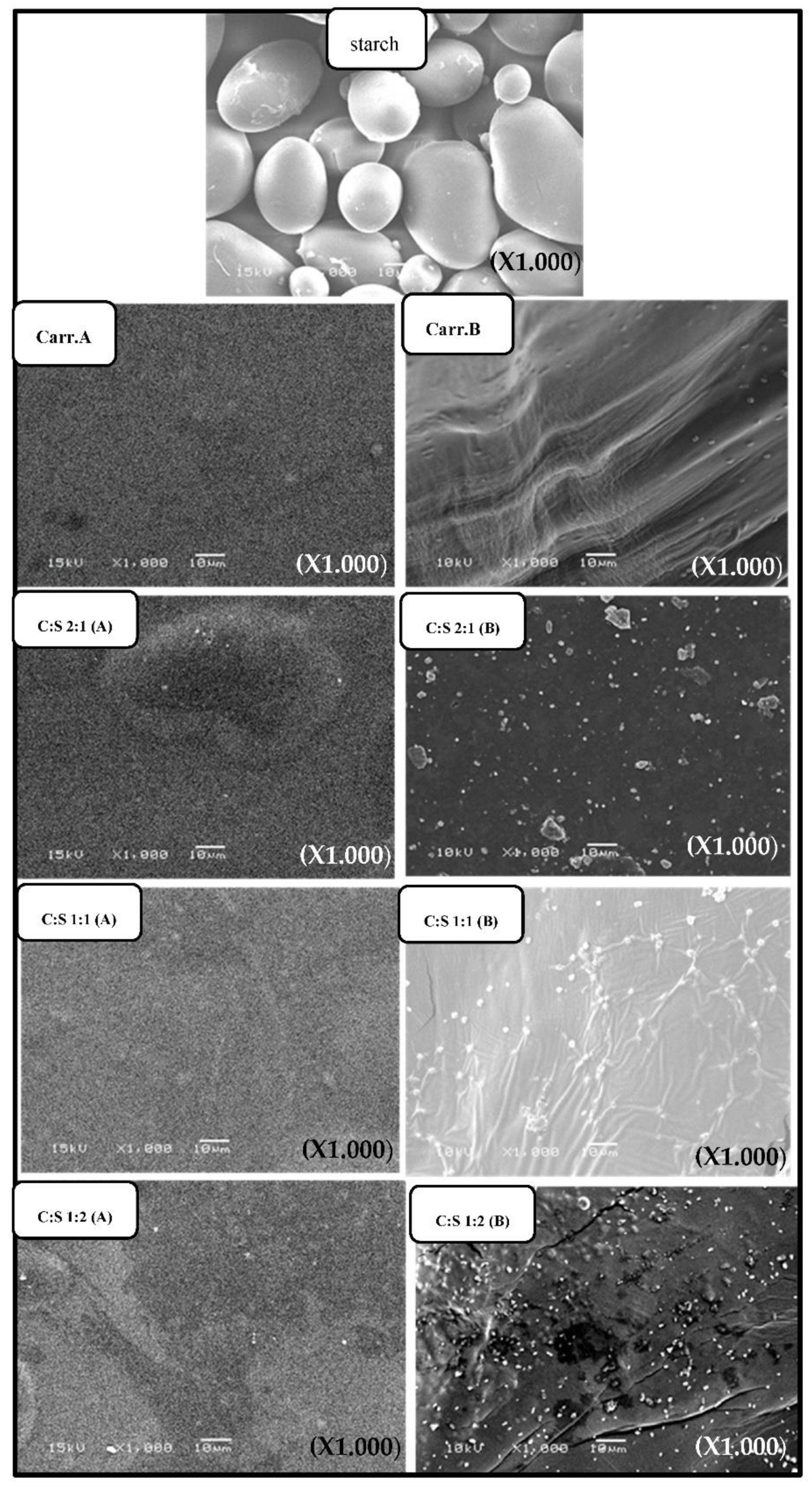 Polymers 13 04308 g005