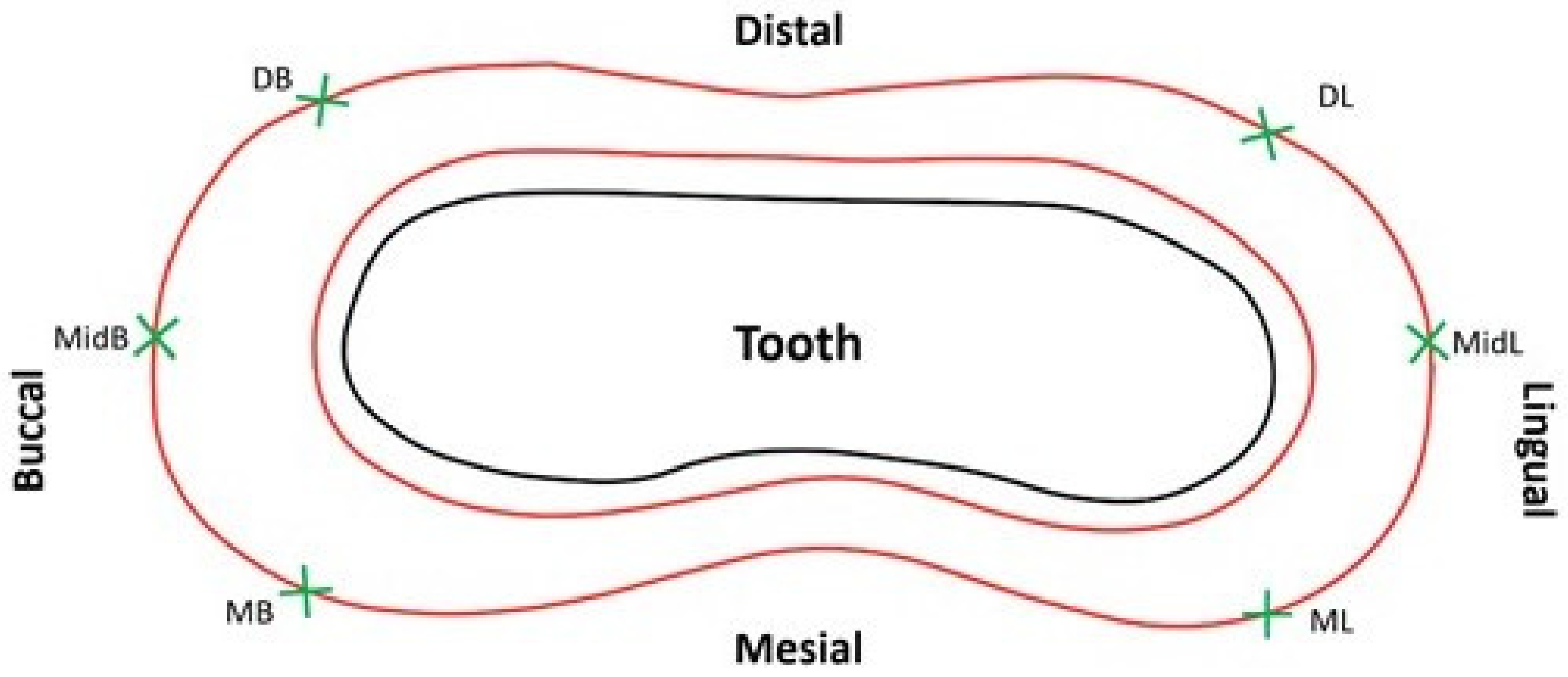Polymers 13 04311 g002 550