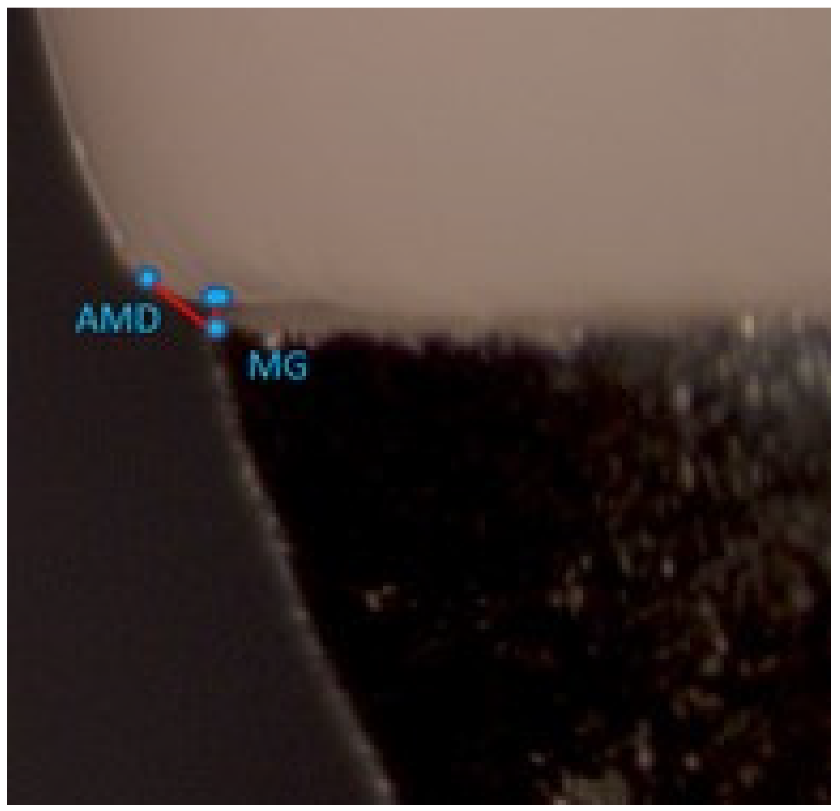 Polymers 13 04311 g005 550