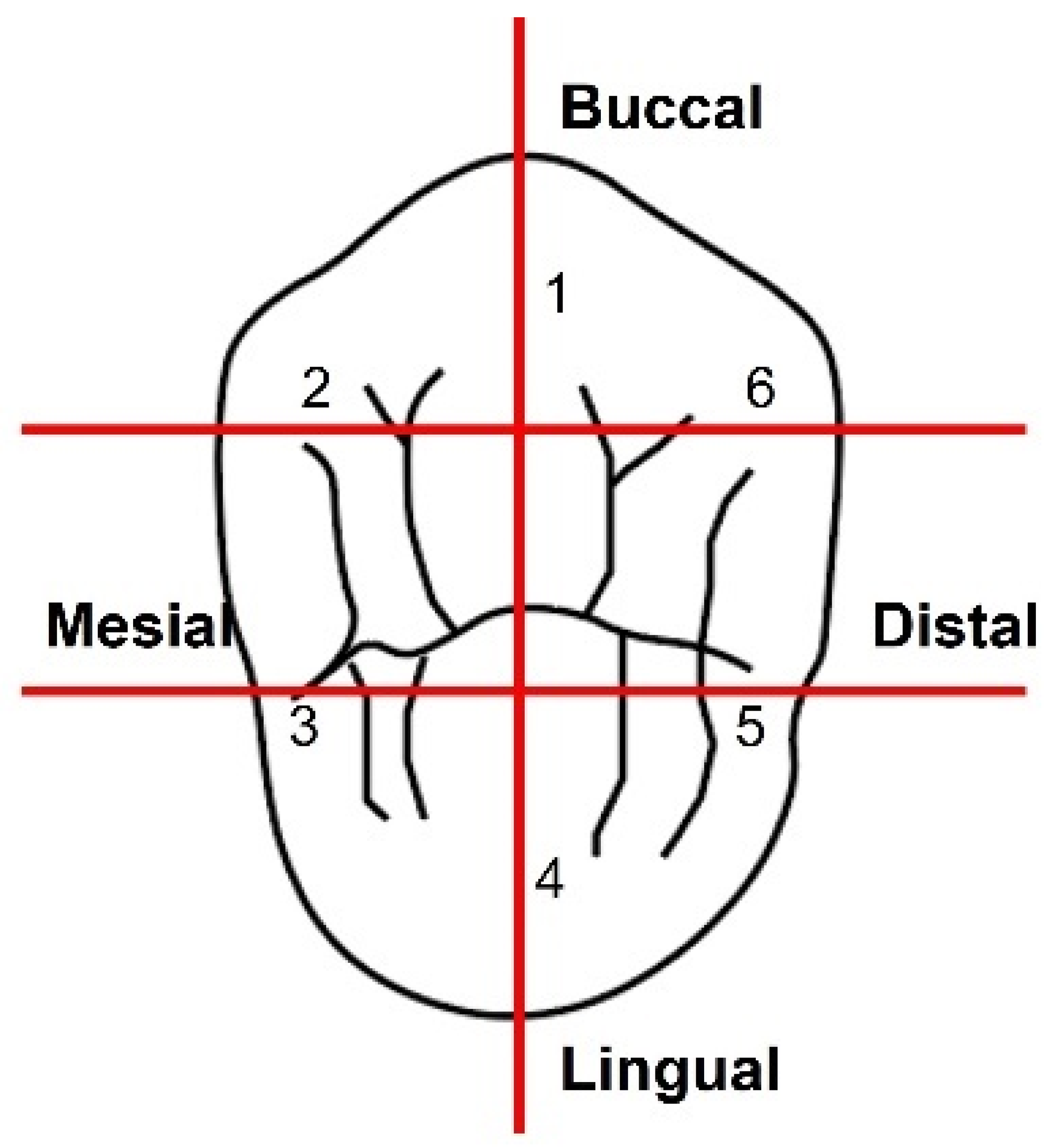 Polymers 13 04311 g006 550