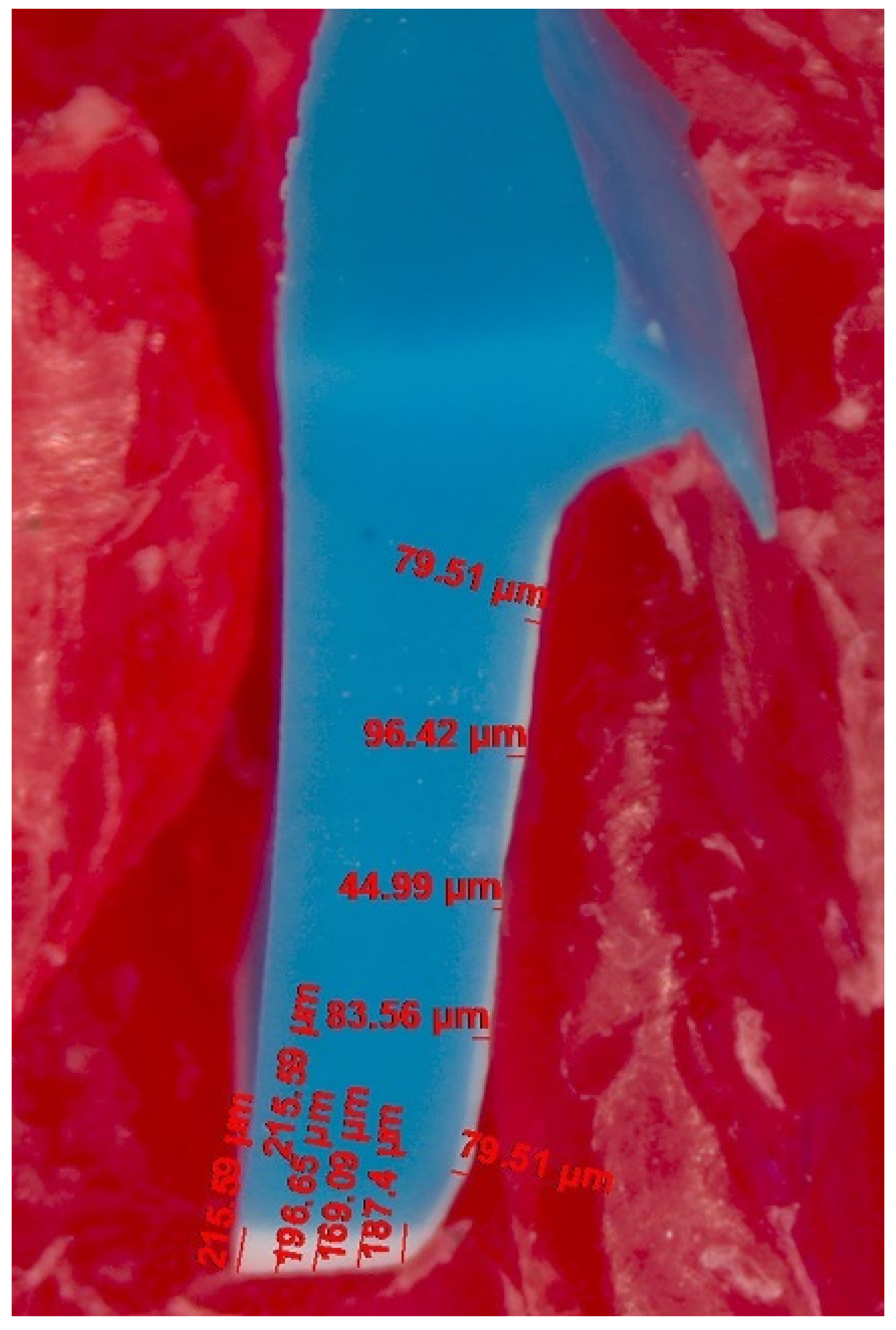 Polymers 13 04311 g007 550