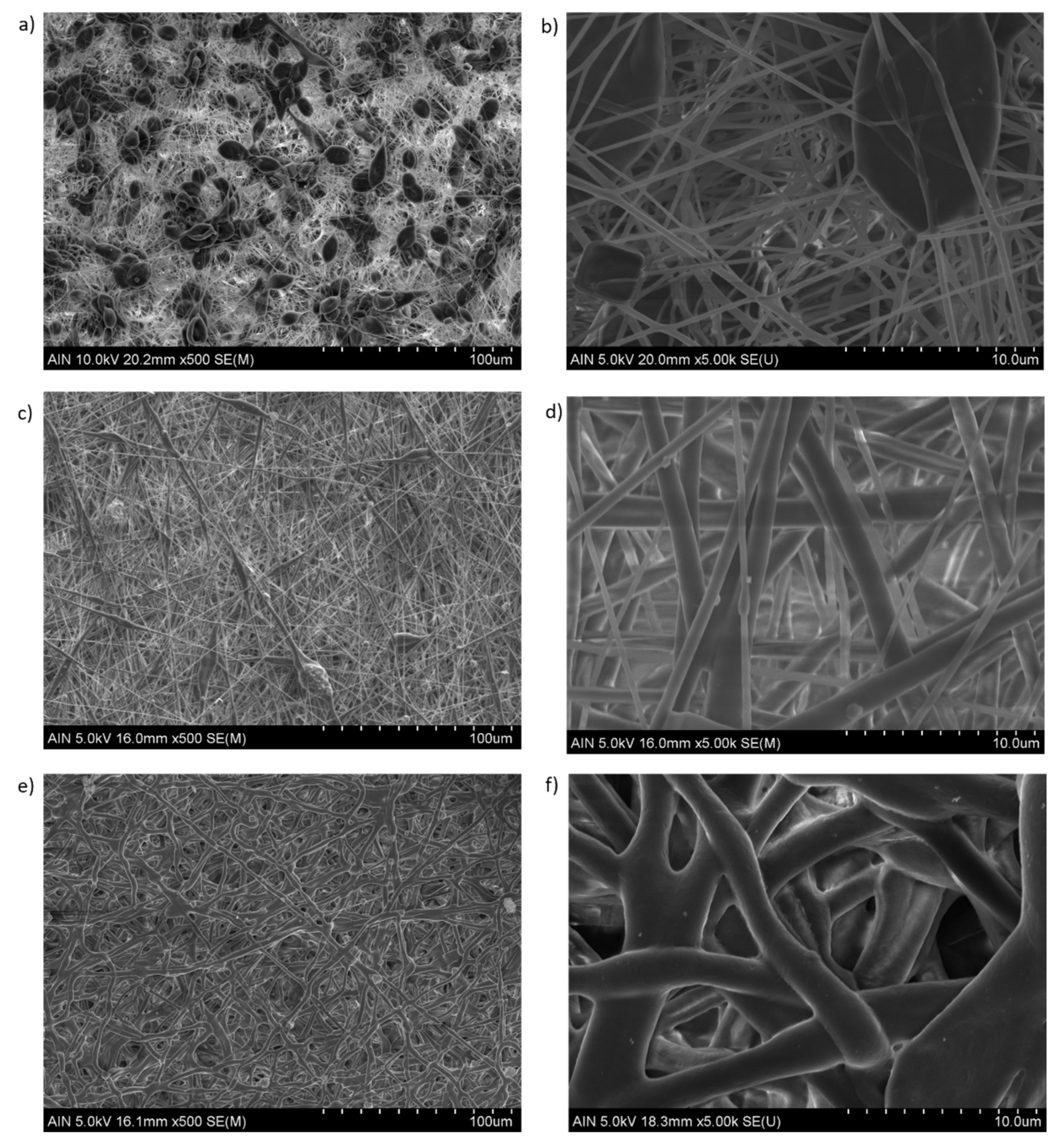 Polymers 13 04312 g006 550