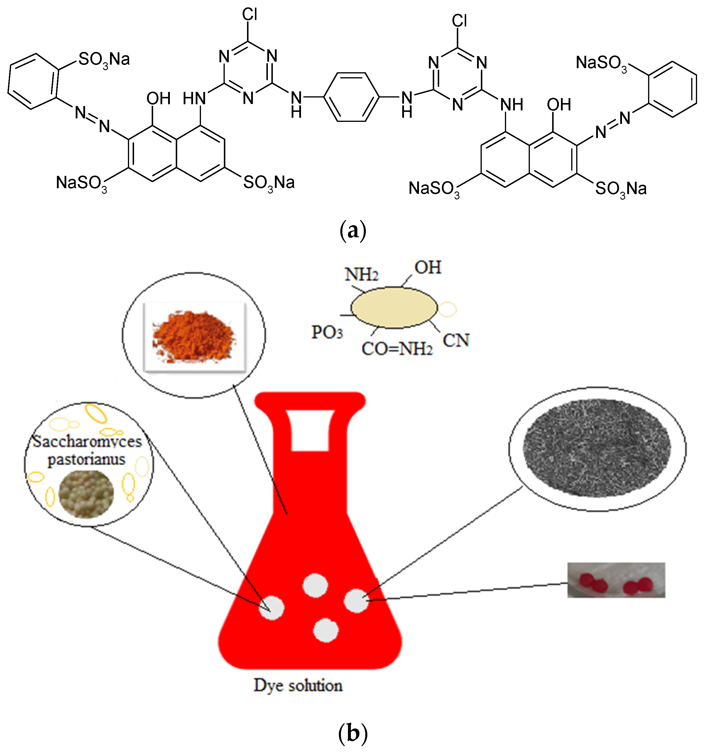Polymers 13 04314 g002