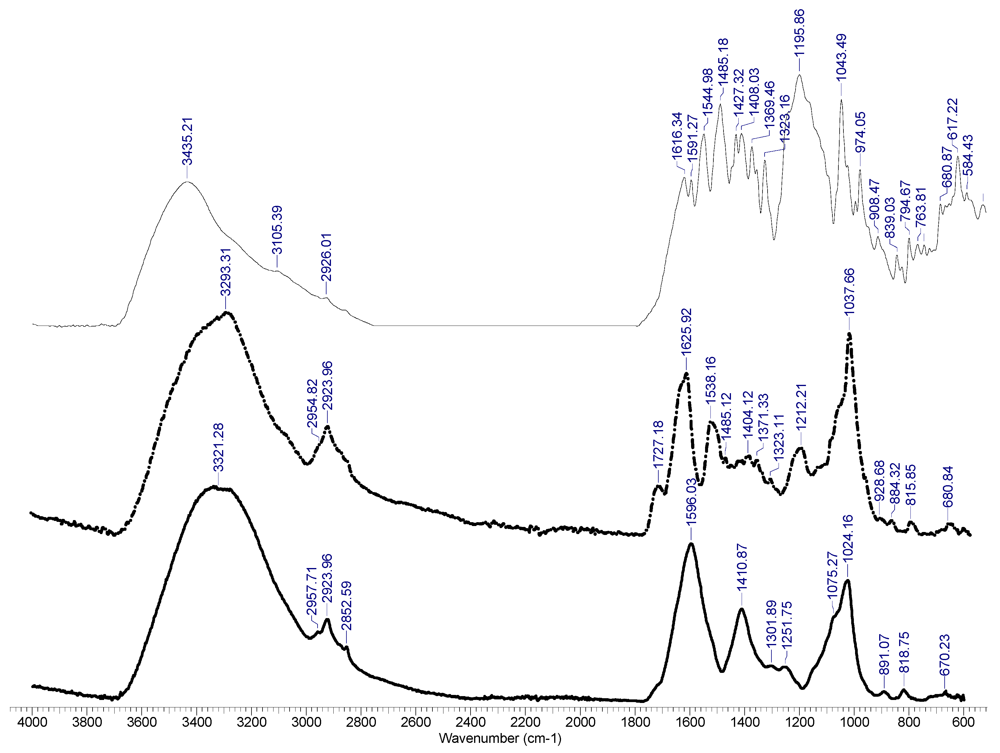 Polymers 13 04314 g004
