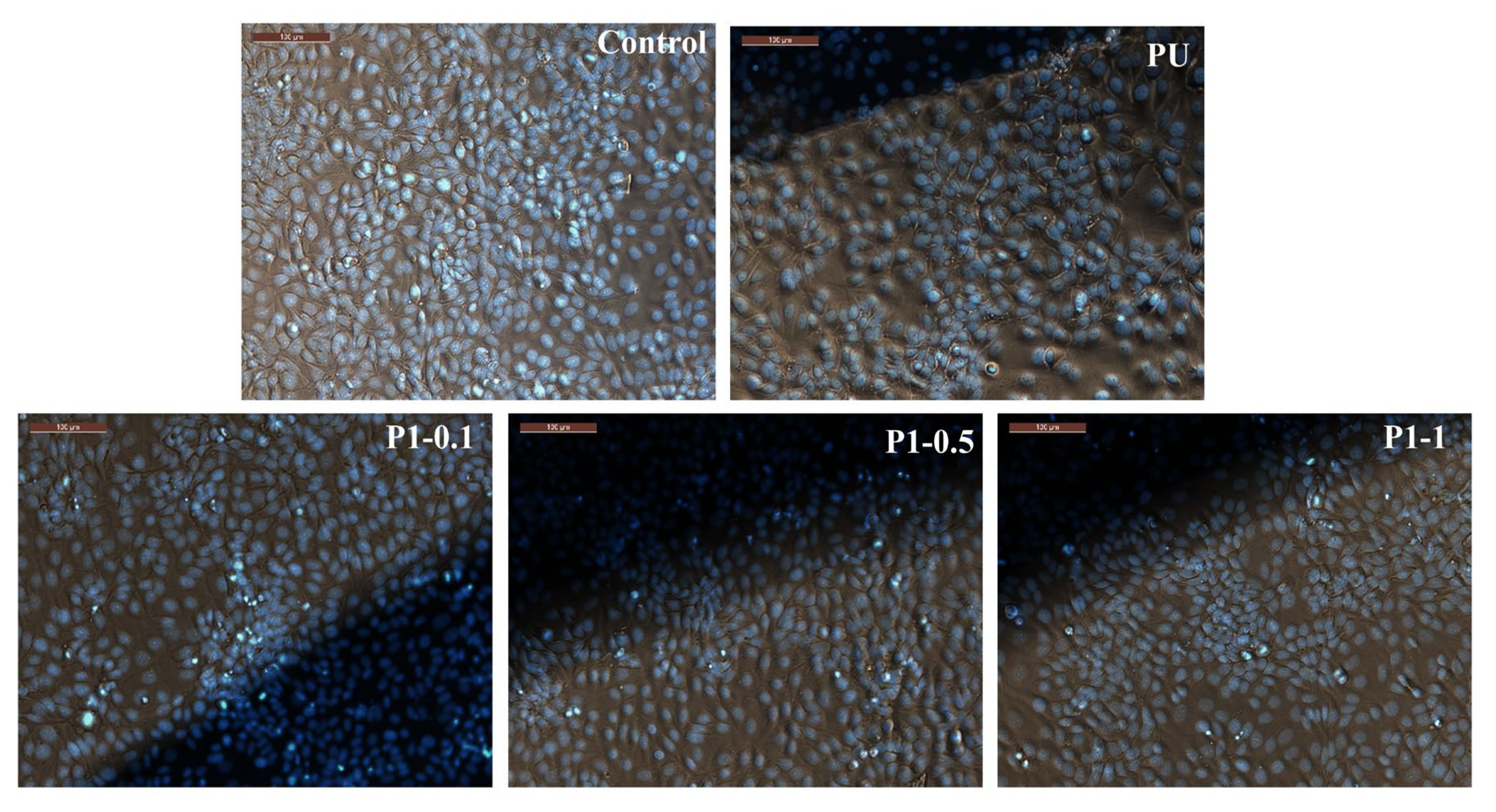 Polymers 13 04316 g009 Polymers 13 04316 g009