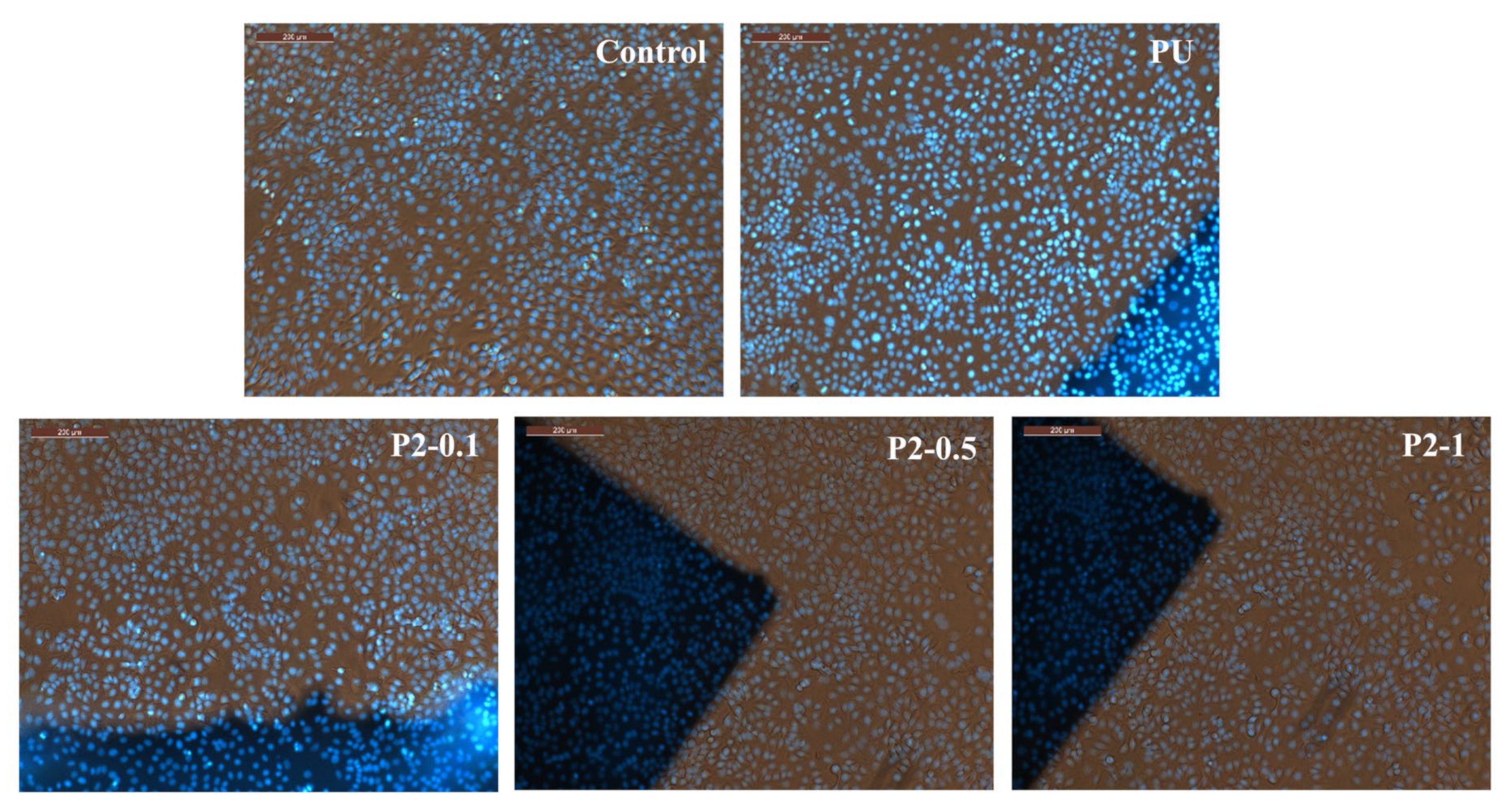 Polymers 13 04316 g010 Polymers 13 04316 g010