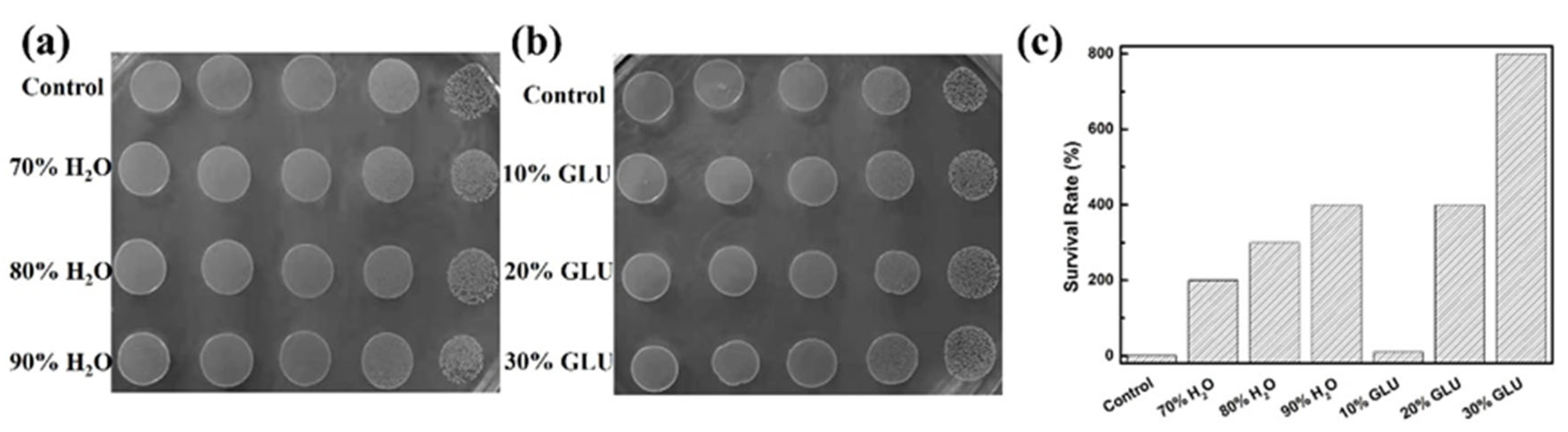 Polymers 13 04317 g004 550