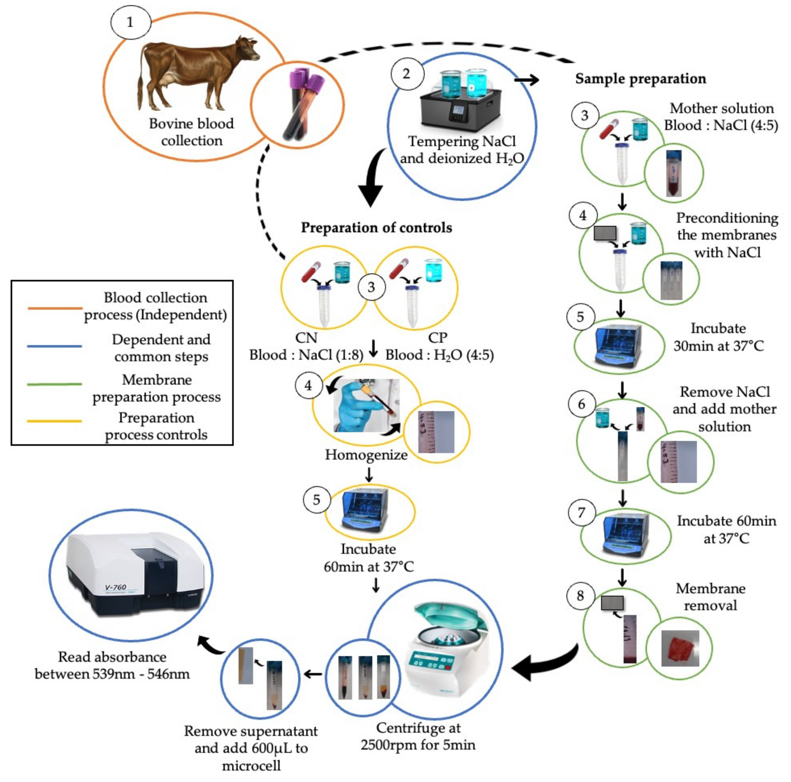 Polymers 13 04320 g001 Polymers 13 04320 g001