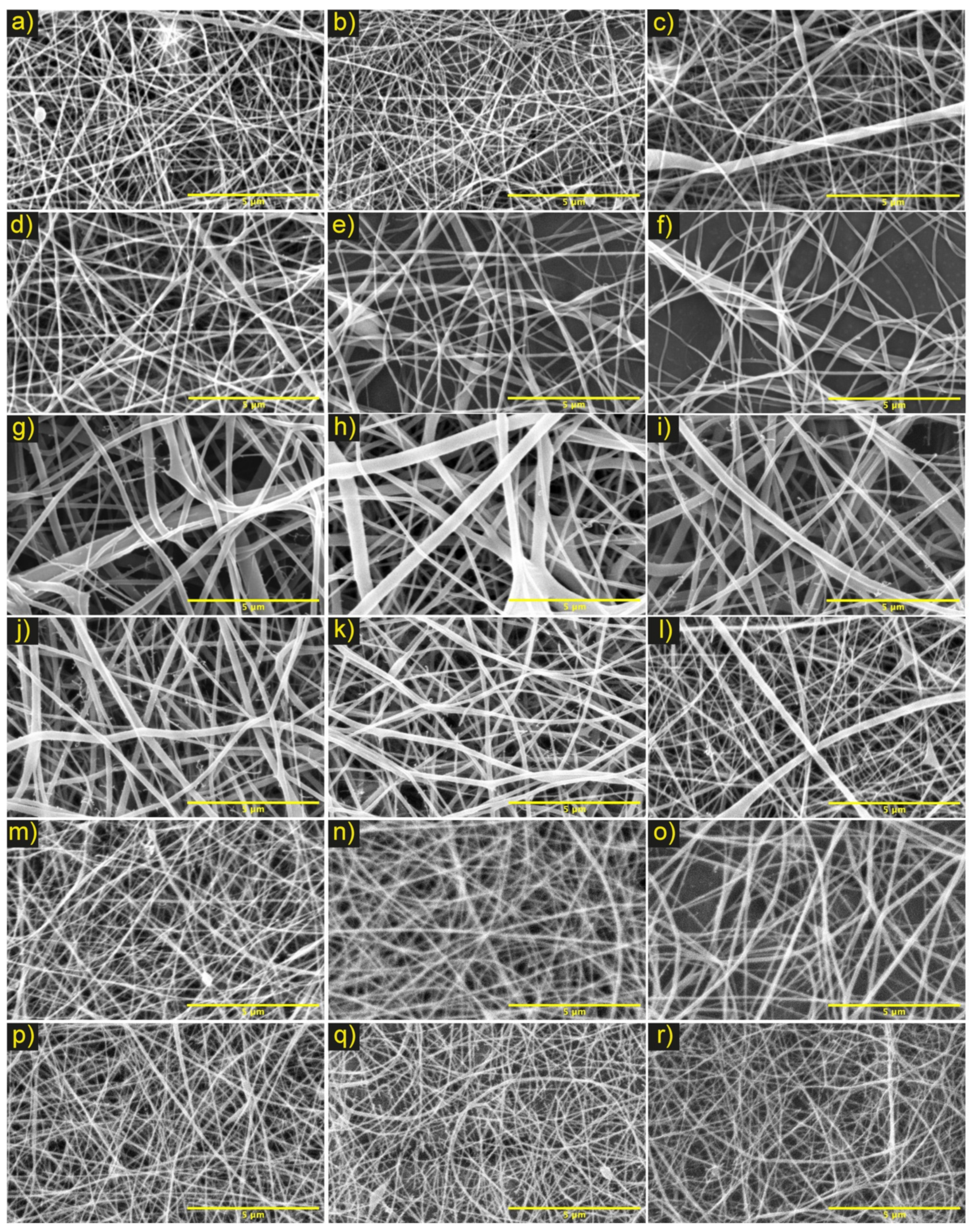 Polymers 13 04320 g002 Polymers 13 04320 g002