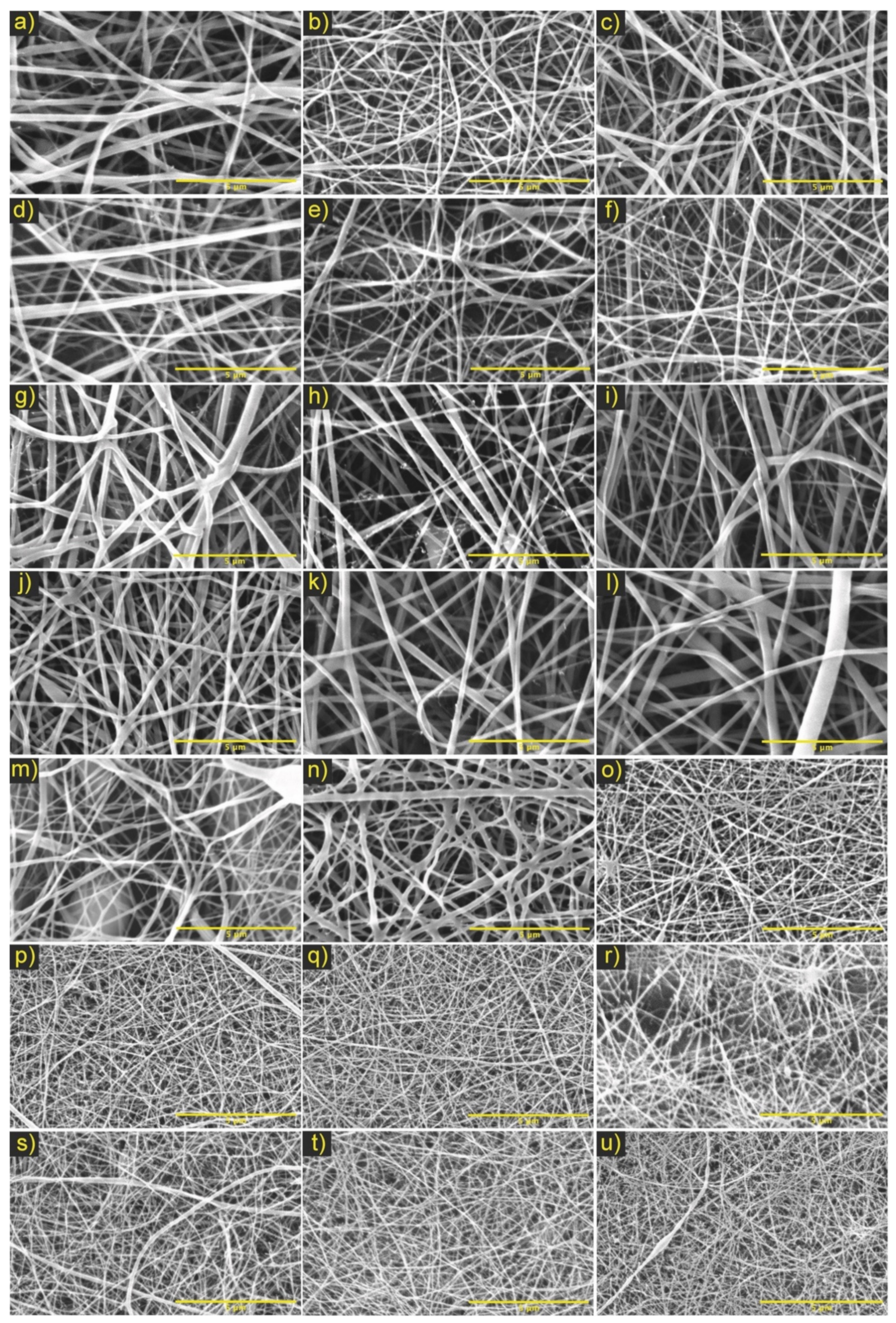 Polymers 13 04320 g003 Polymers 13 04320 g003