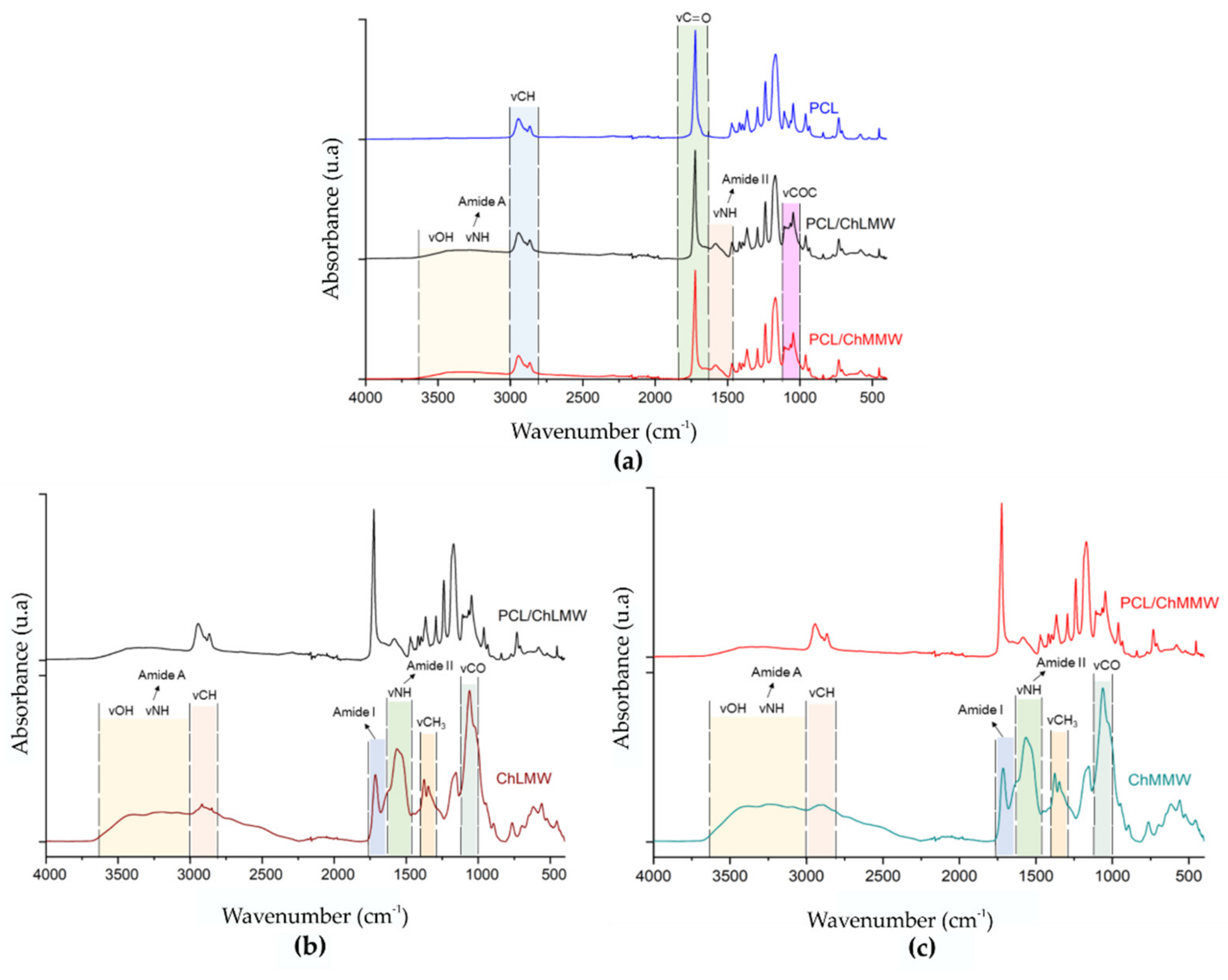 Polymers 13 04320 g005 Polymers 13 04320 g005