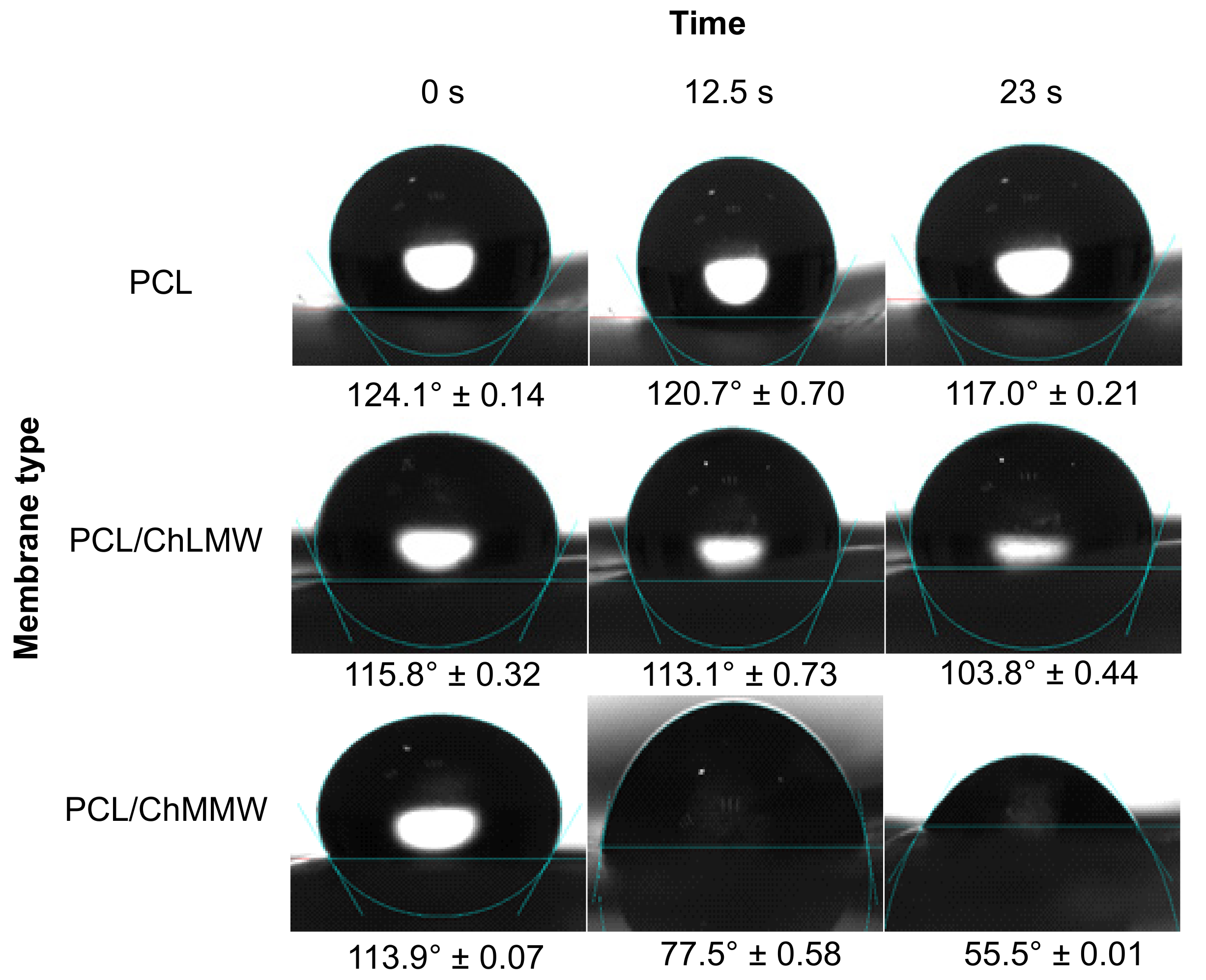 Polymers 13 04320 g008 Polymers 13 04320 g008