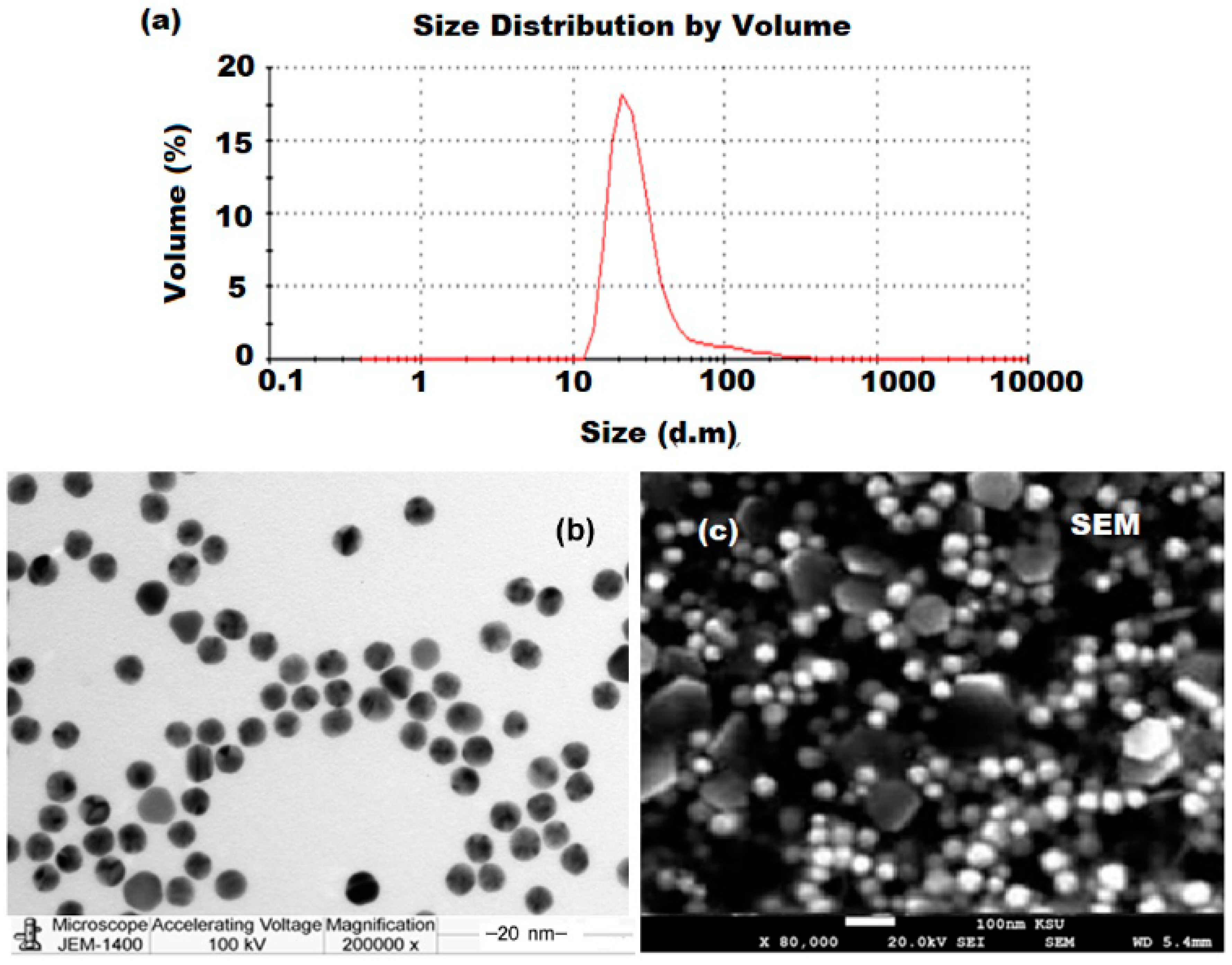 Polymers 13 04321 g004 550